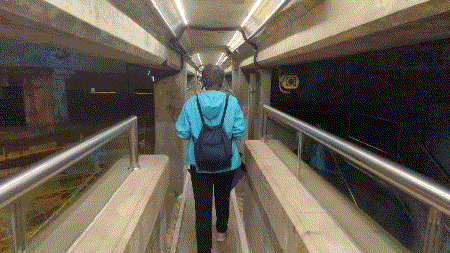 videotogif_2023.10.03_22.34.41.gif