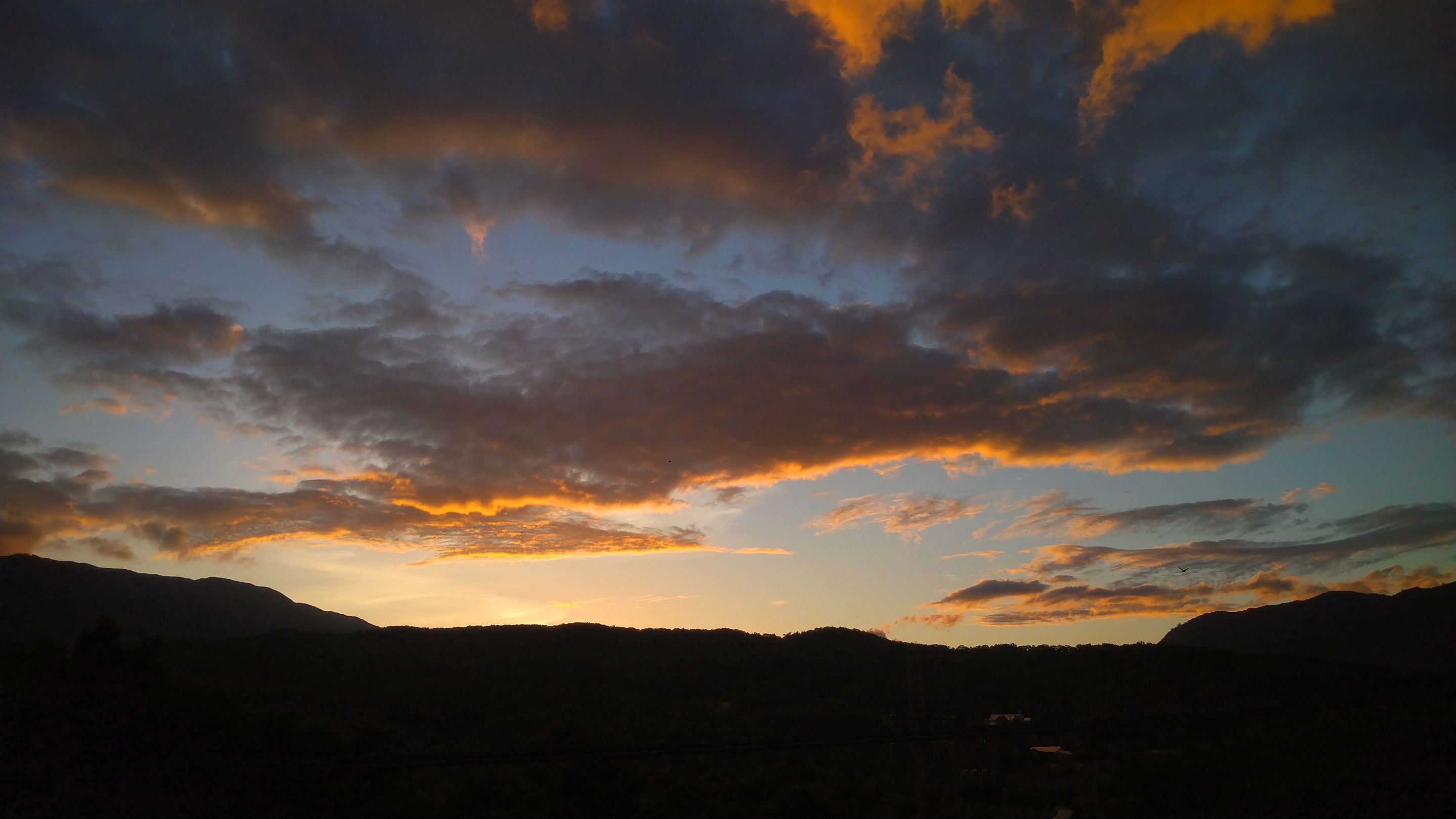 DSC_4812.JPG