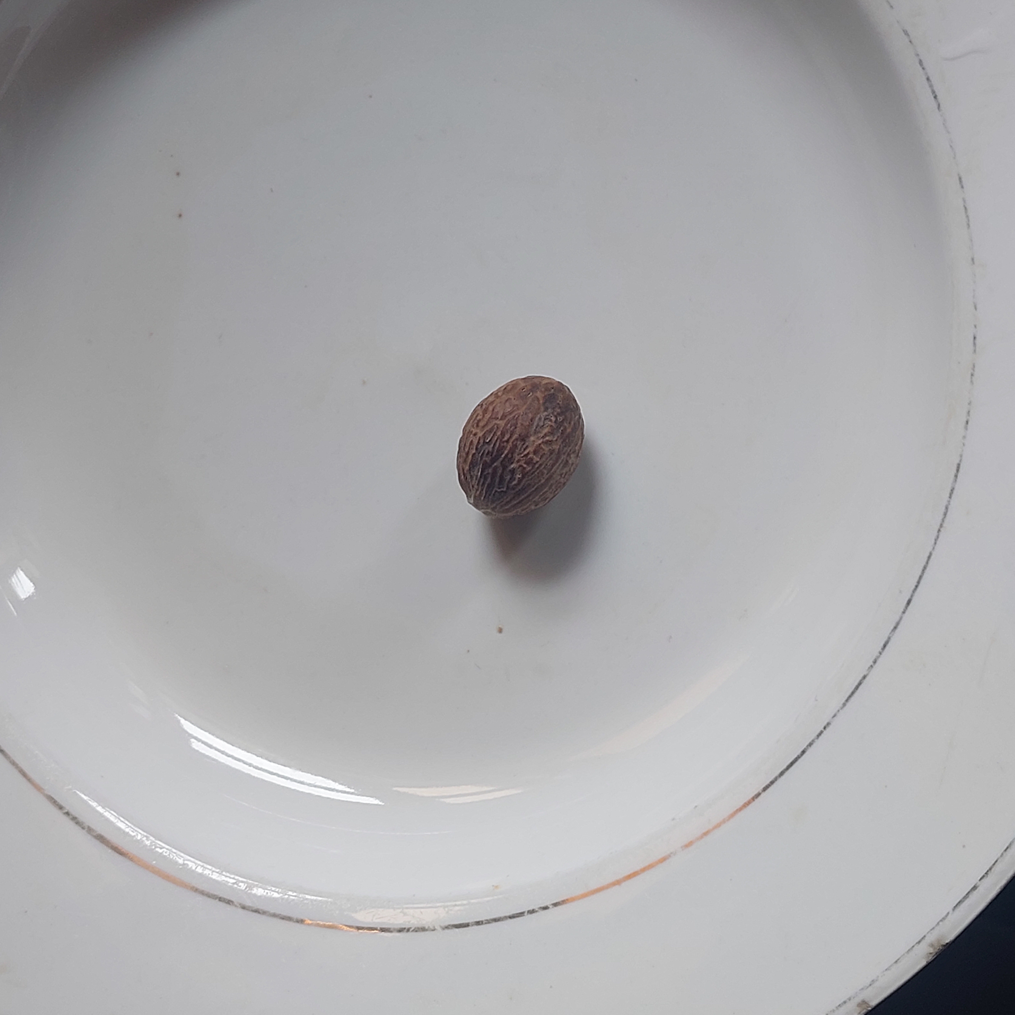 1000177963.jpg