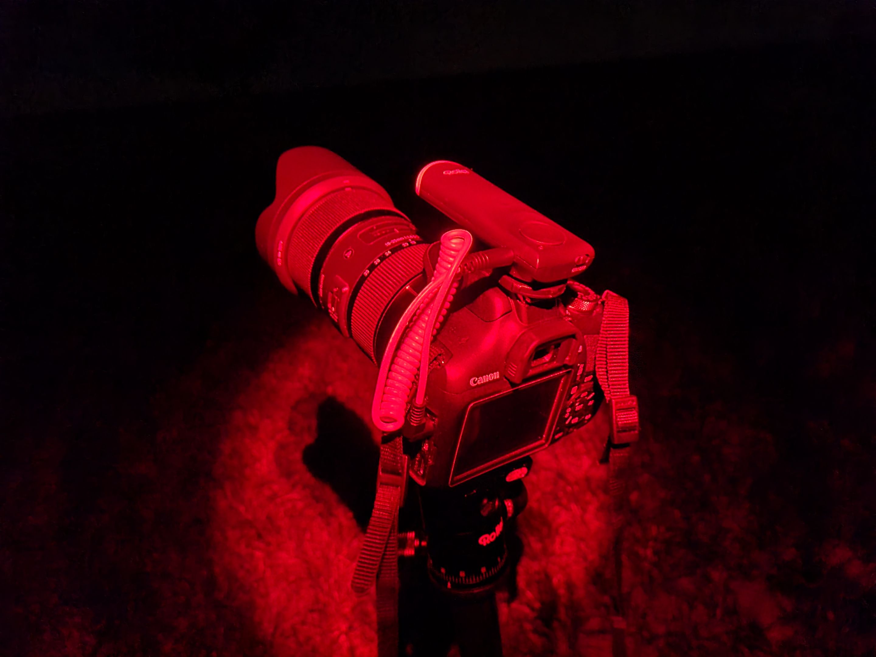 20220522_012947.jpg
