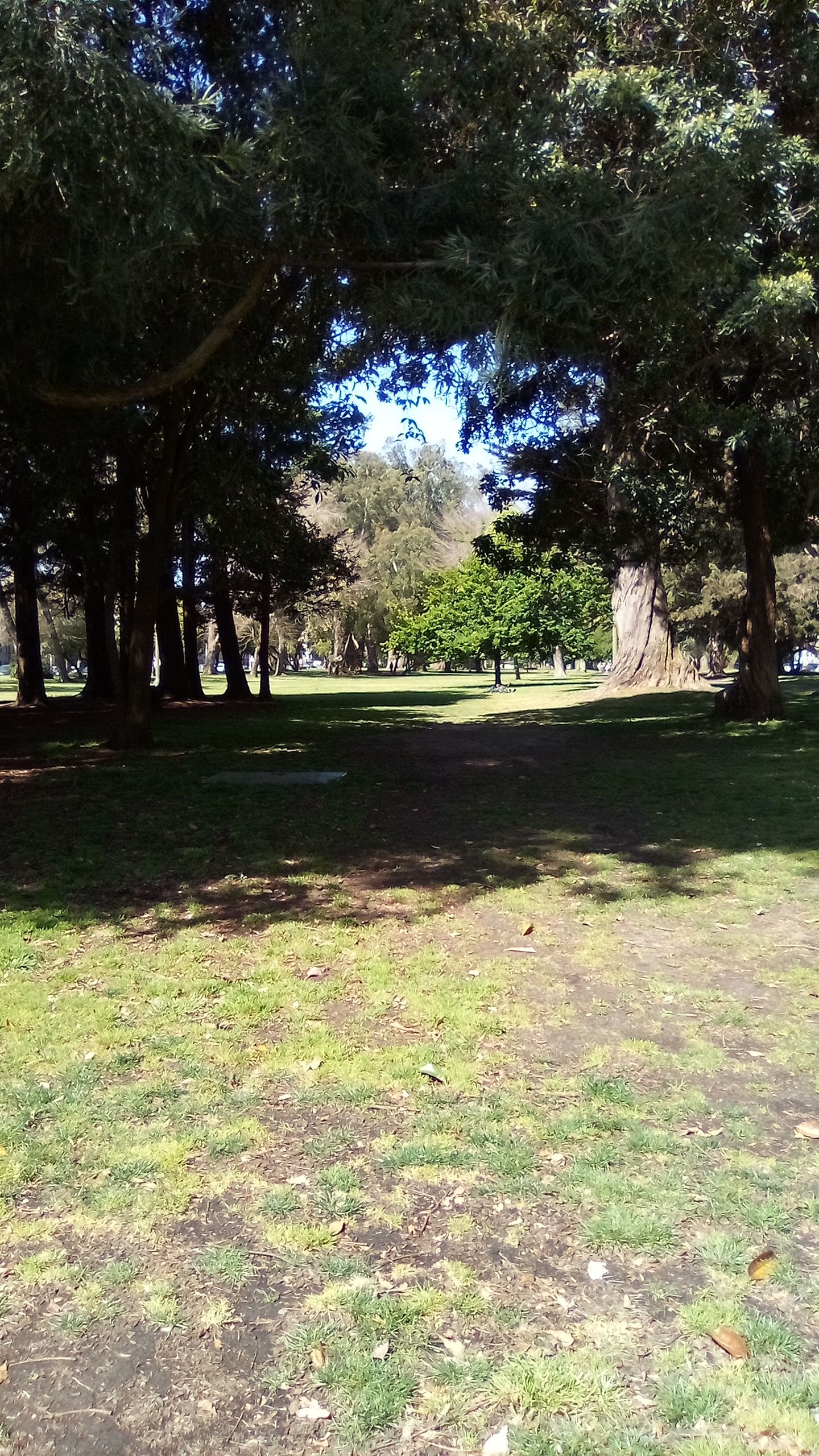 IMG_20250506_102333.jpg