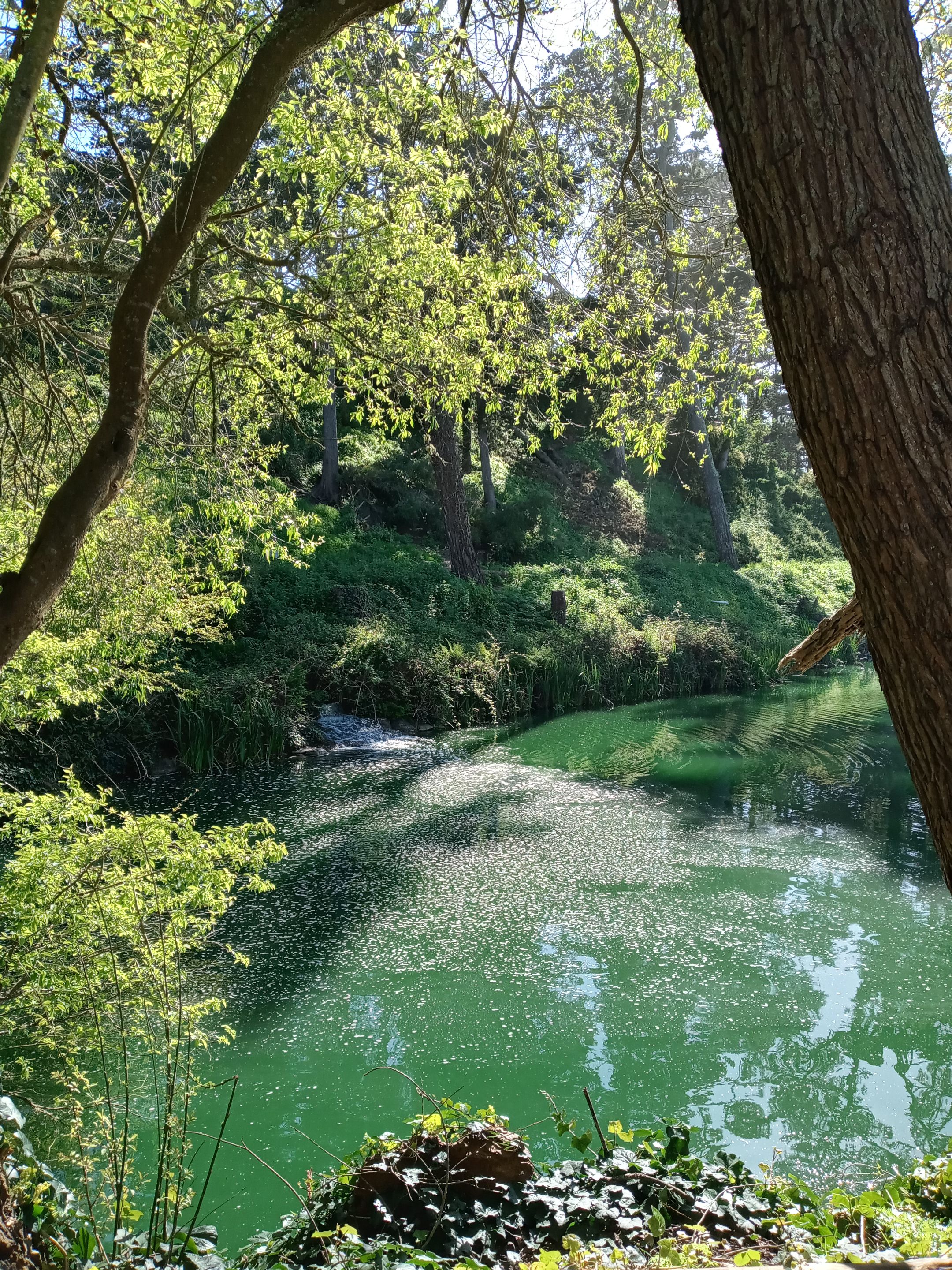 20240408_163654_HDR.jpg