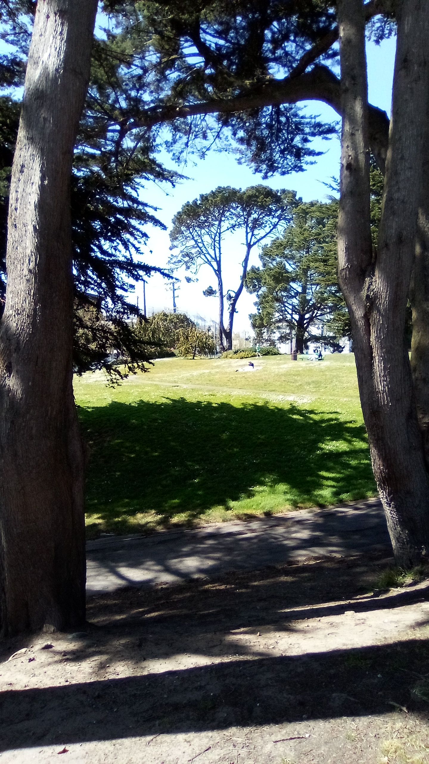 IMG_20250405_153011.jpg