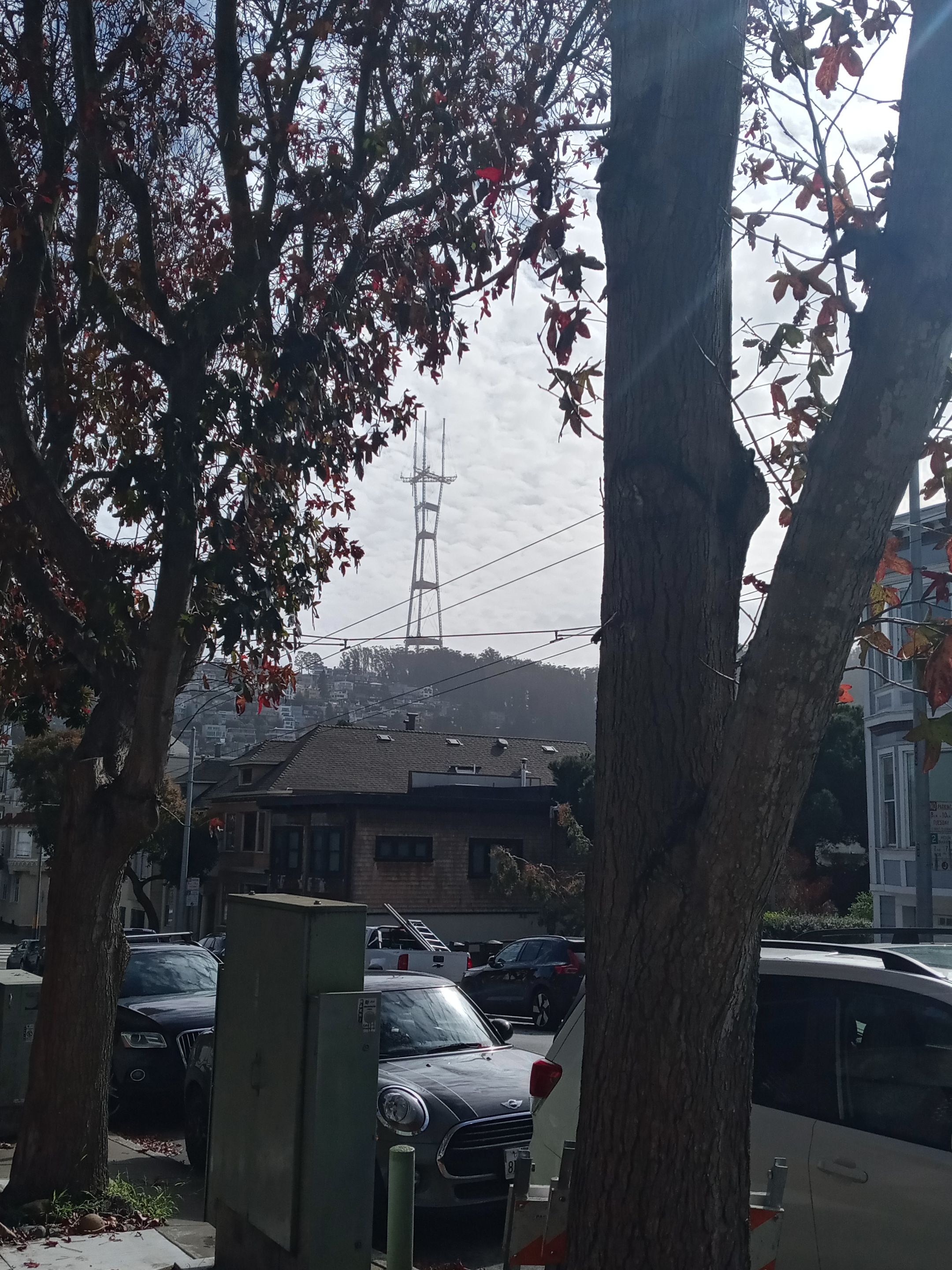 20240312_154500_HDR.jpg