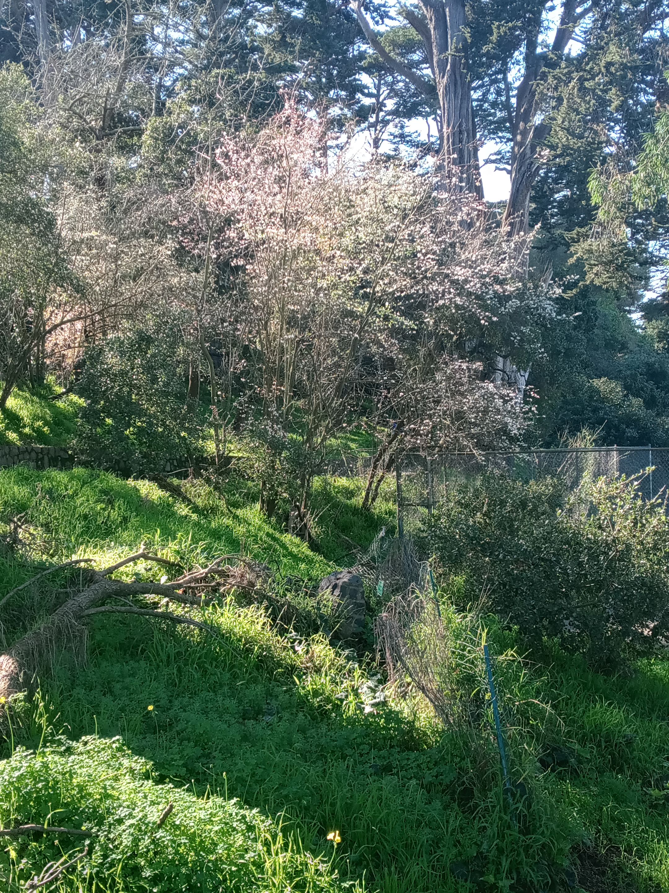 20240224_145151_HDR.jpg