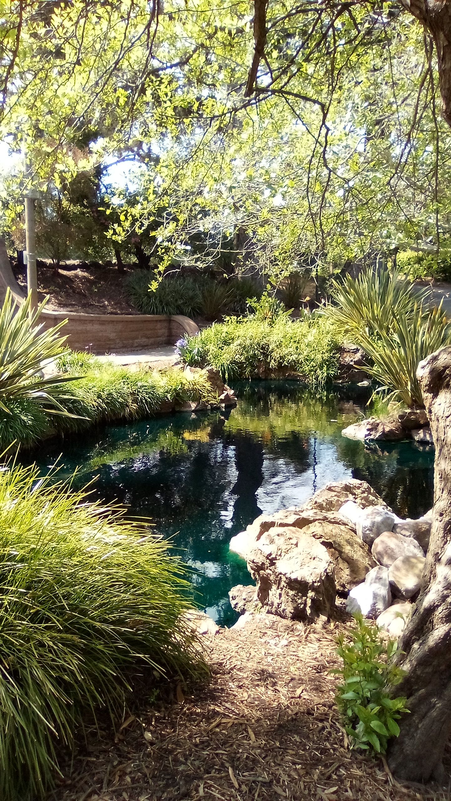 IMG_20250503_145359.jpg