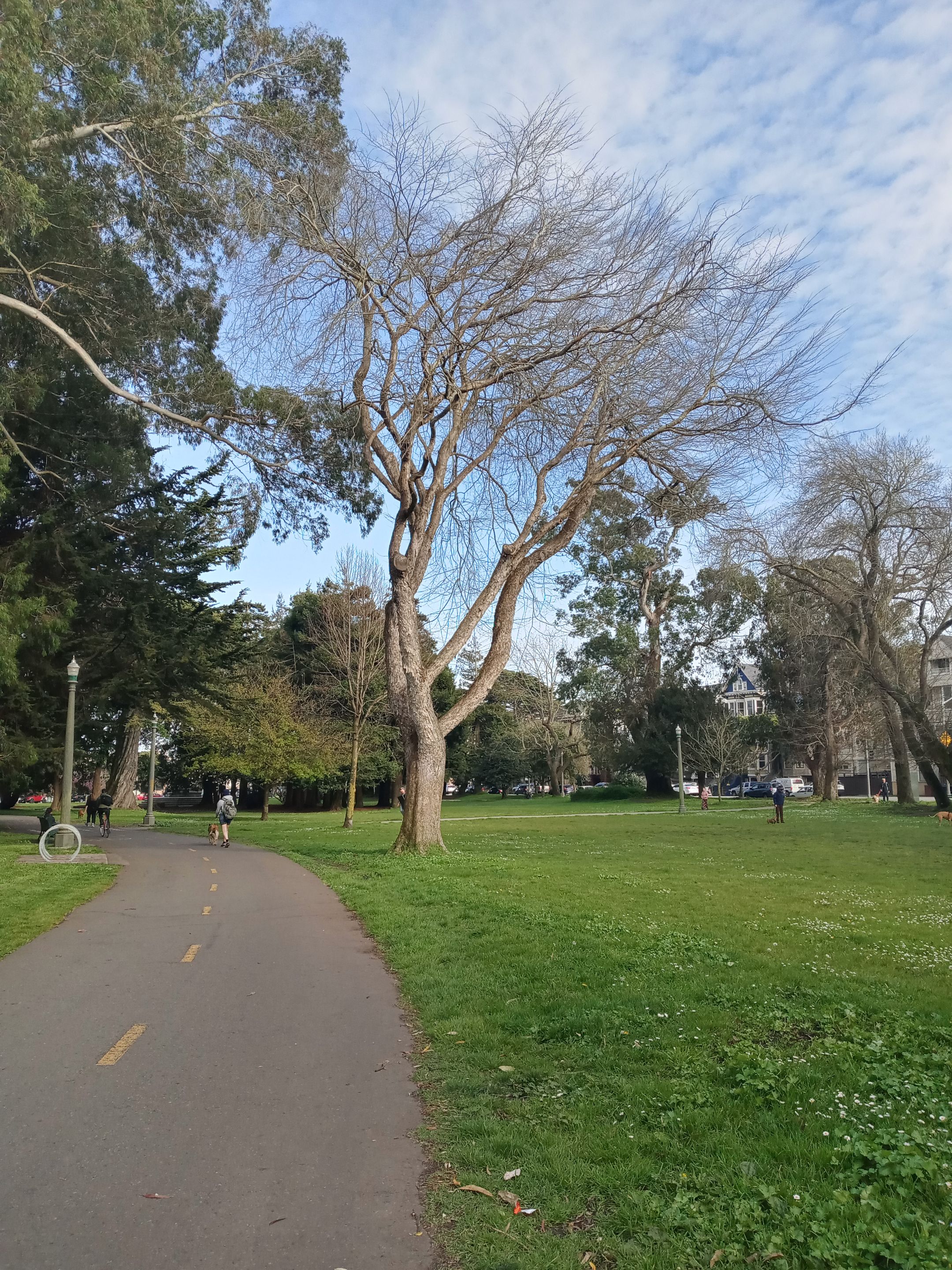 20240312_162902_HDR.jpg