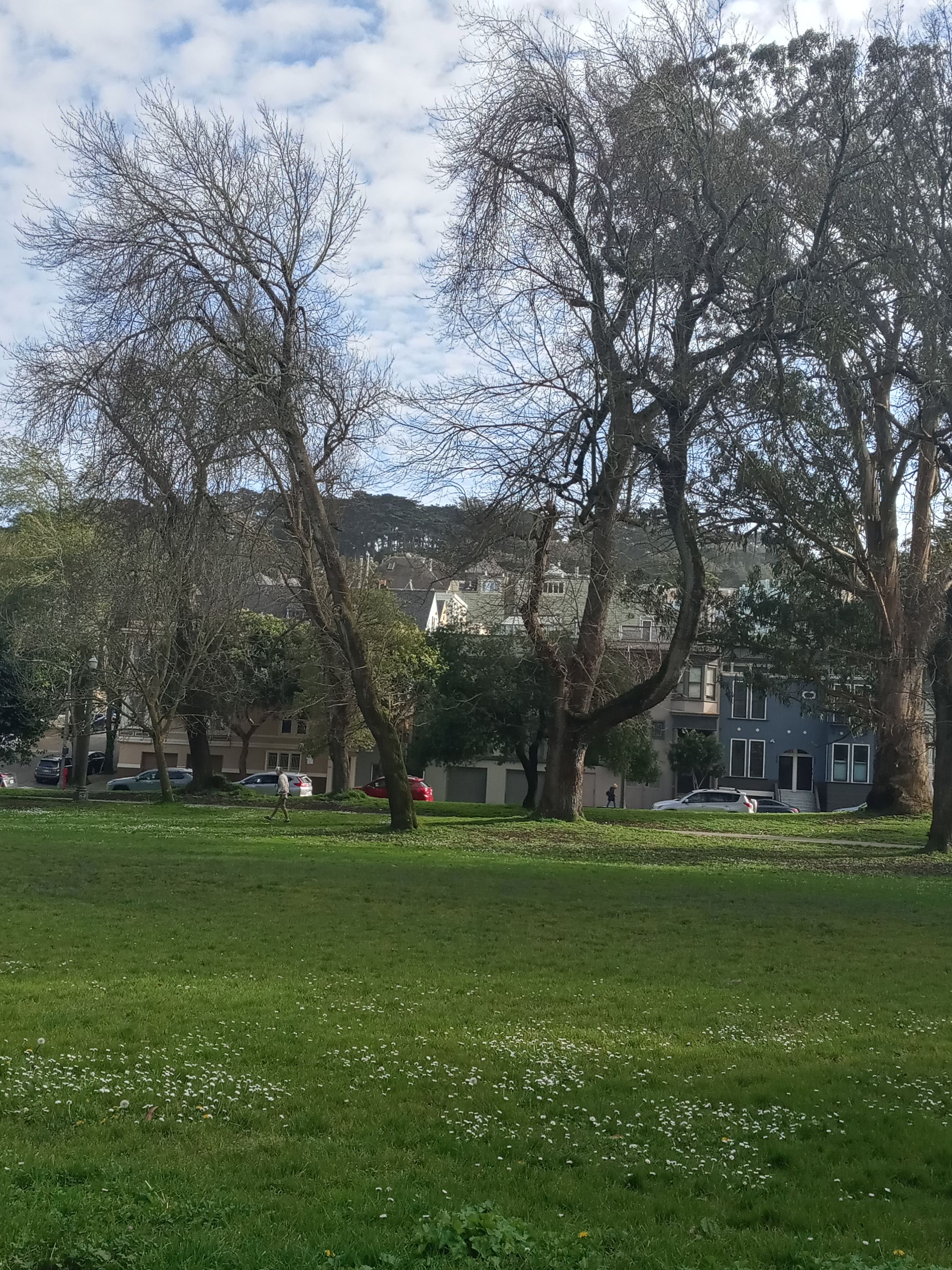 20240312_162936_HDR.jpg