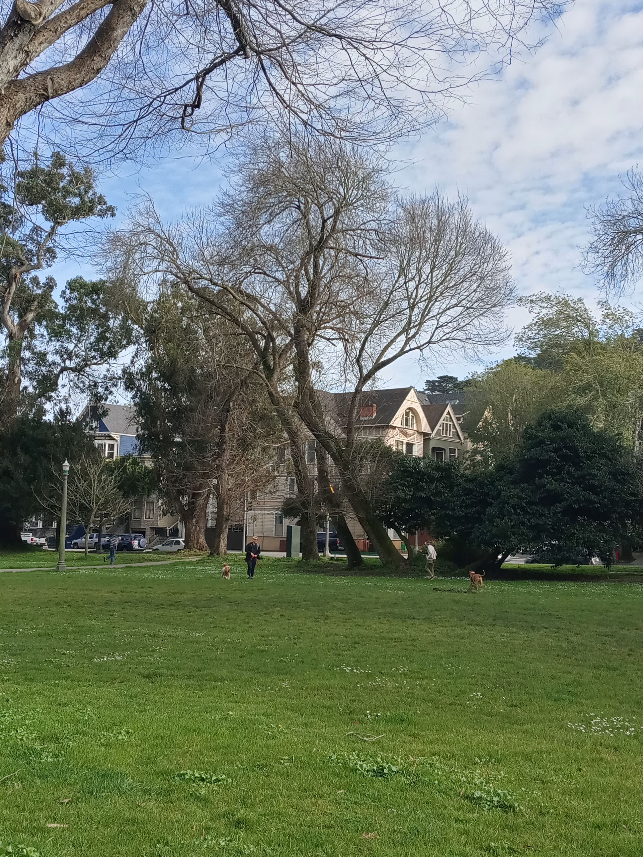 20240312_162957_HDR.jpg