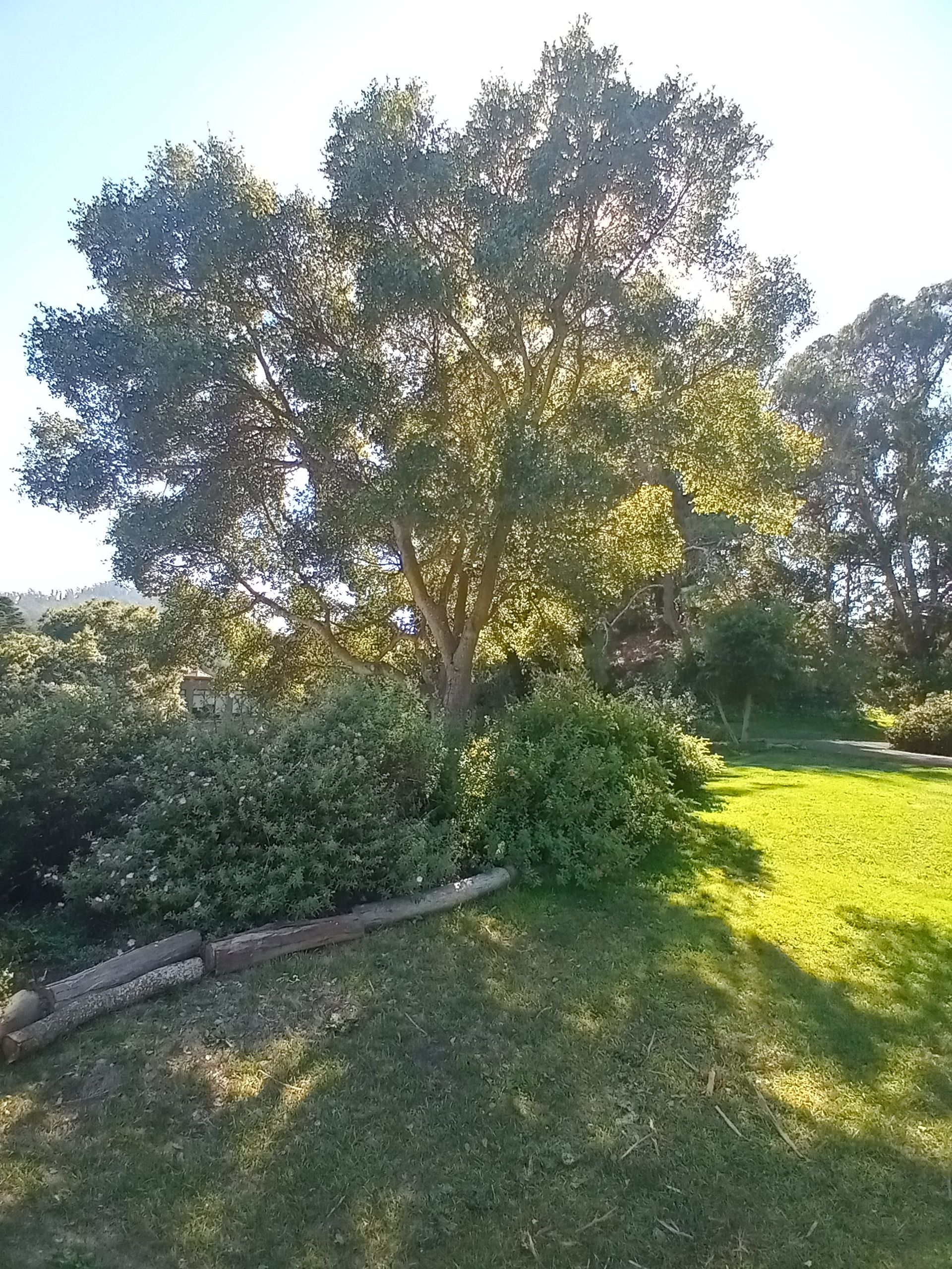 20240923_151404_HDR.jpg