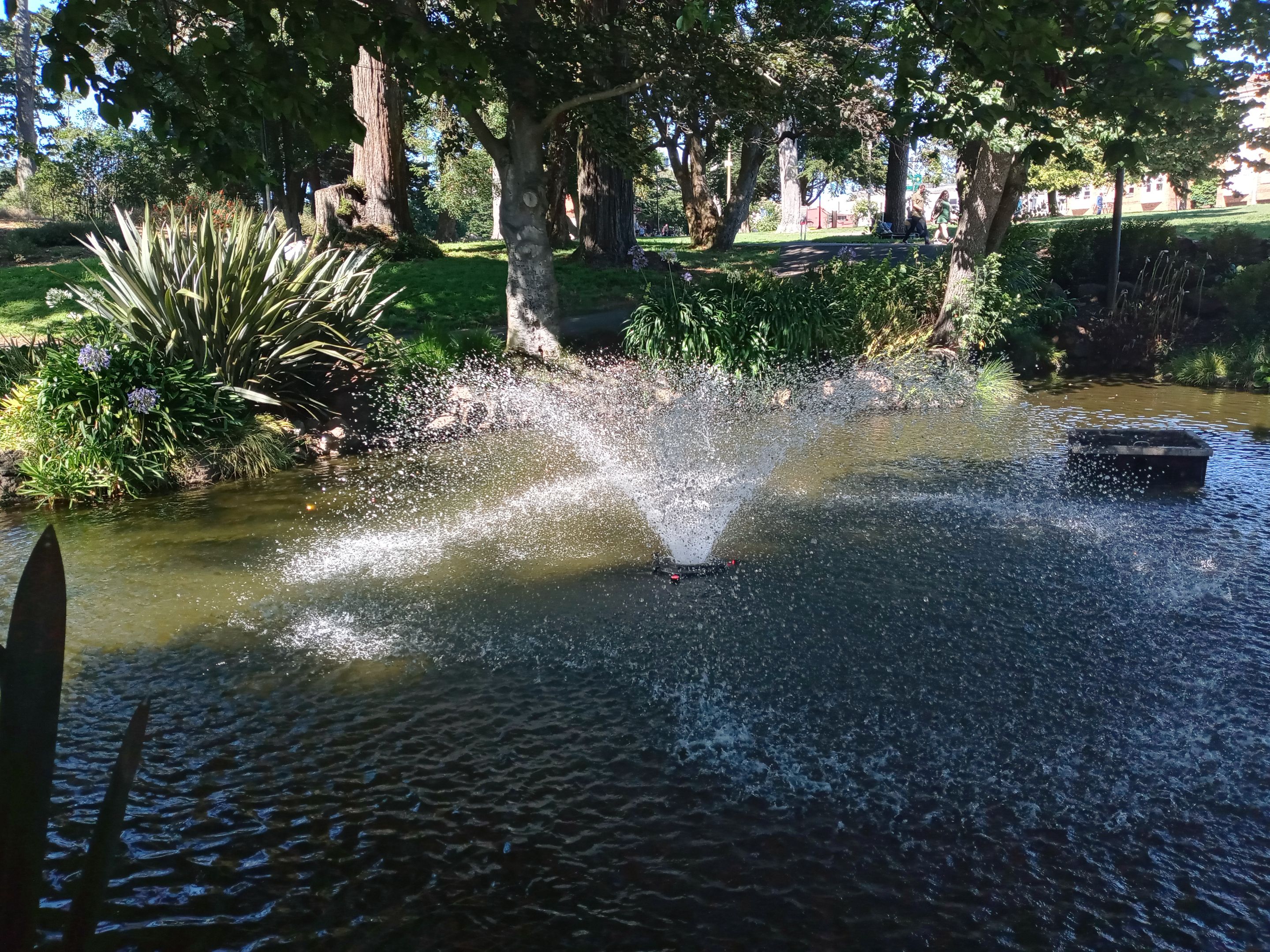 20230909_151121_HDR.jpg