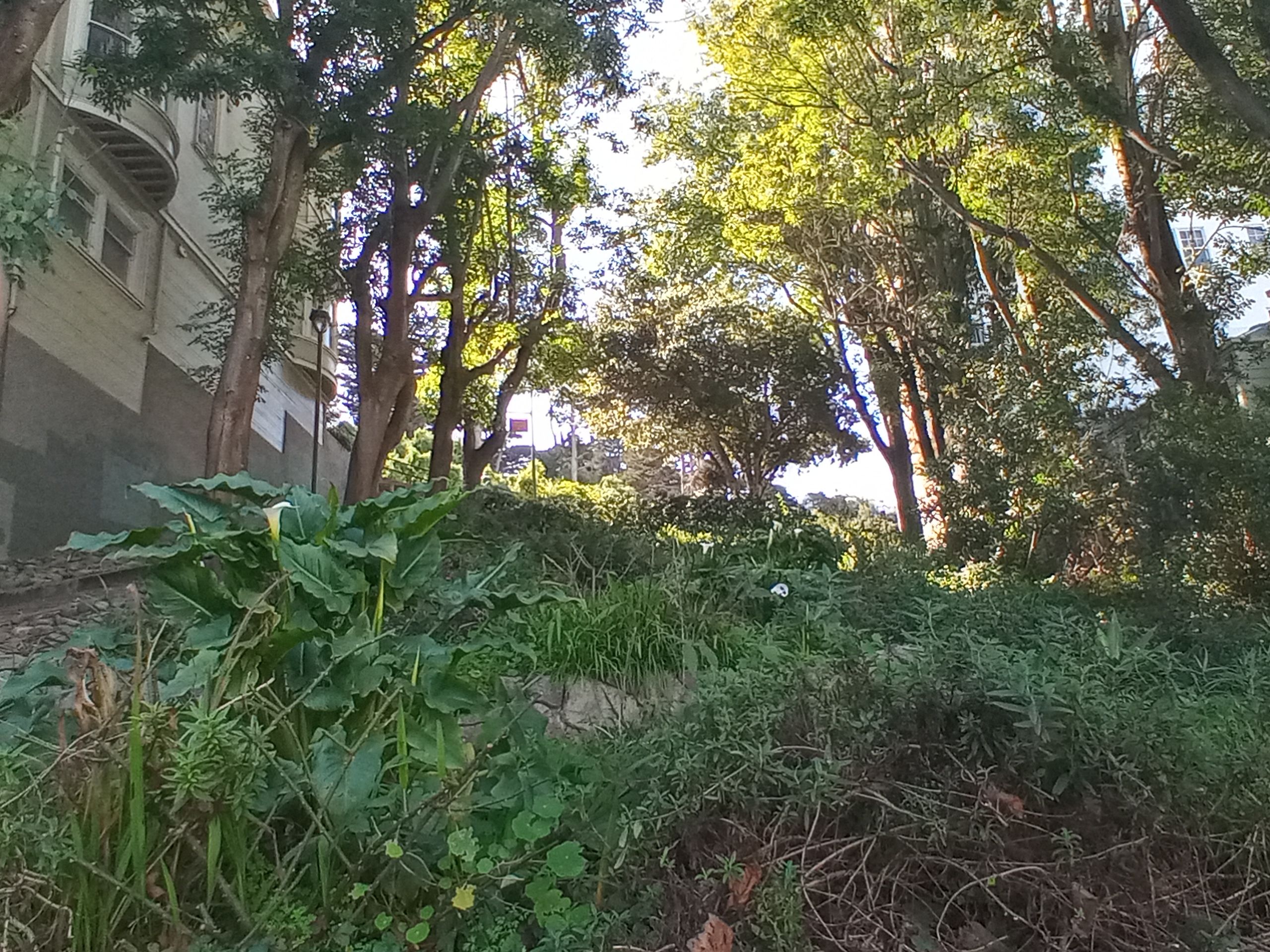 20240224_142231_HDR.jpg
