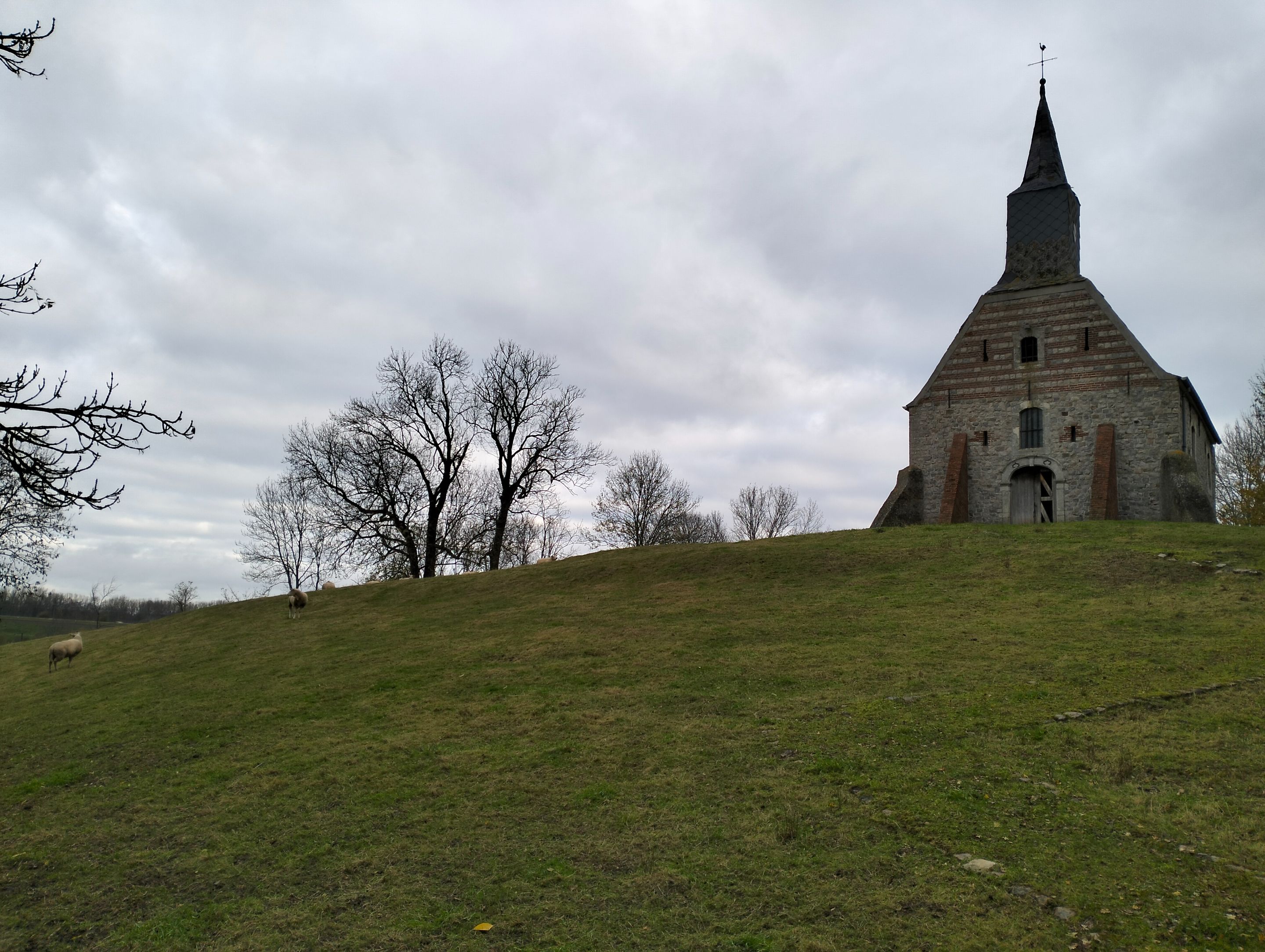 IMG20231123103345.jpg
