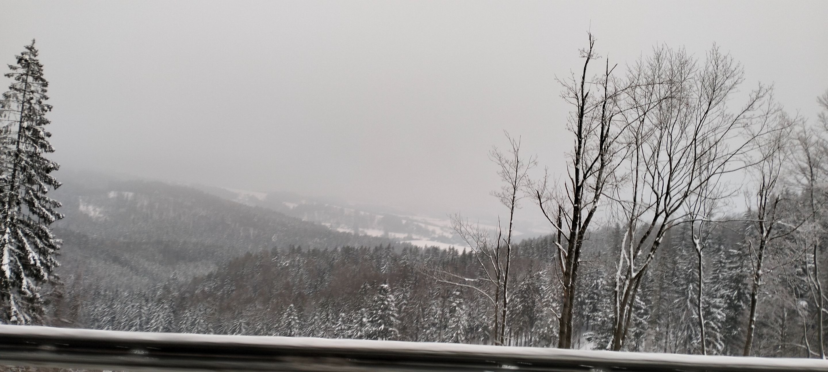 IMG20231206142914.jpg