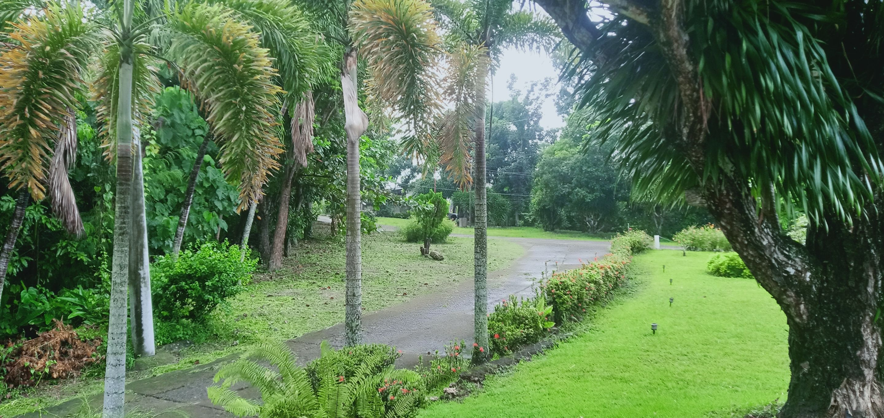 IMG20230929164920.jpg