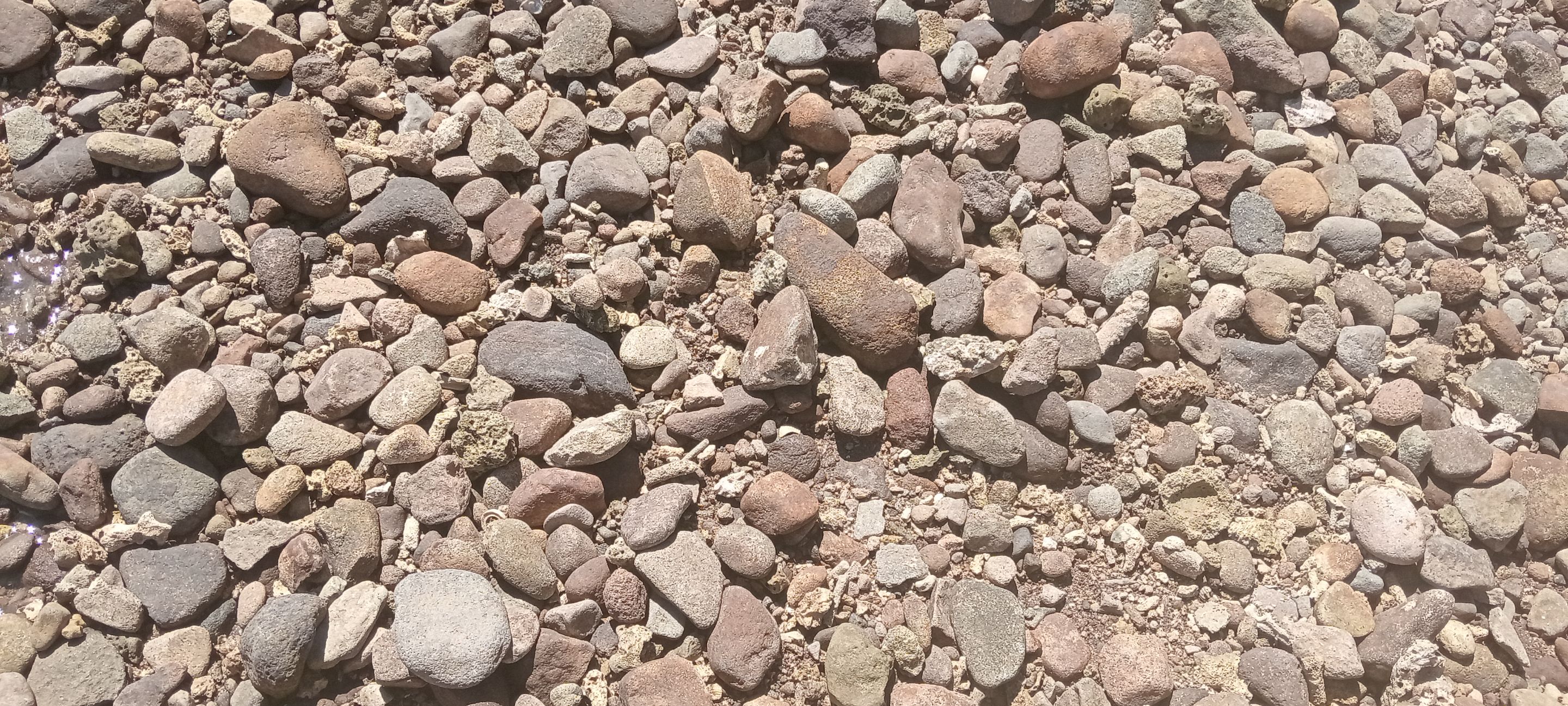 IMG20240504091919.jpg
