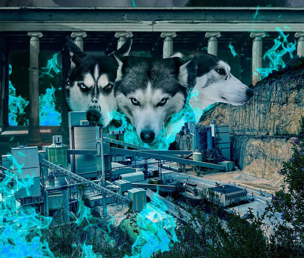zorro.jpg