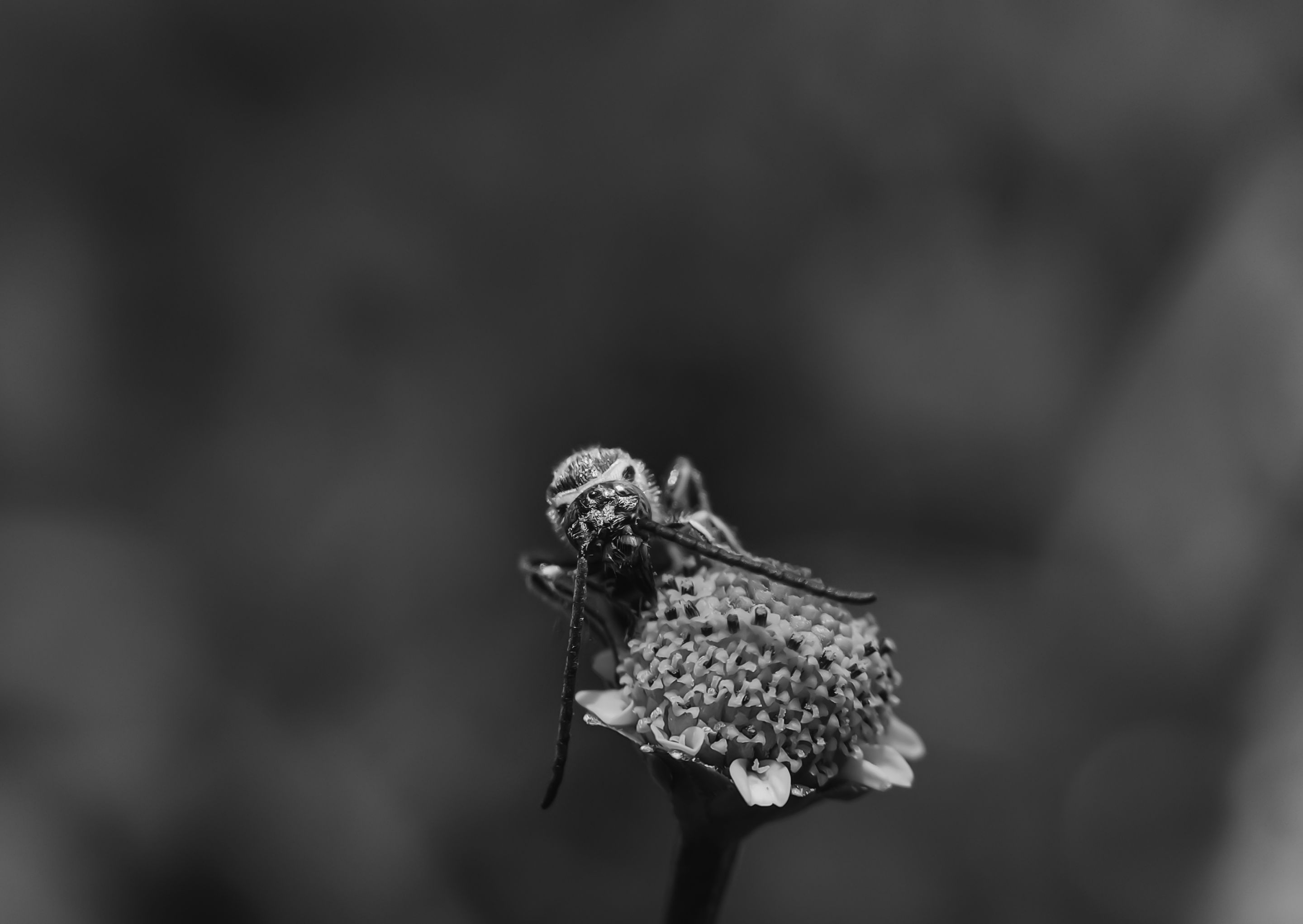 1668946060435.jpg