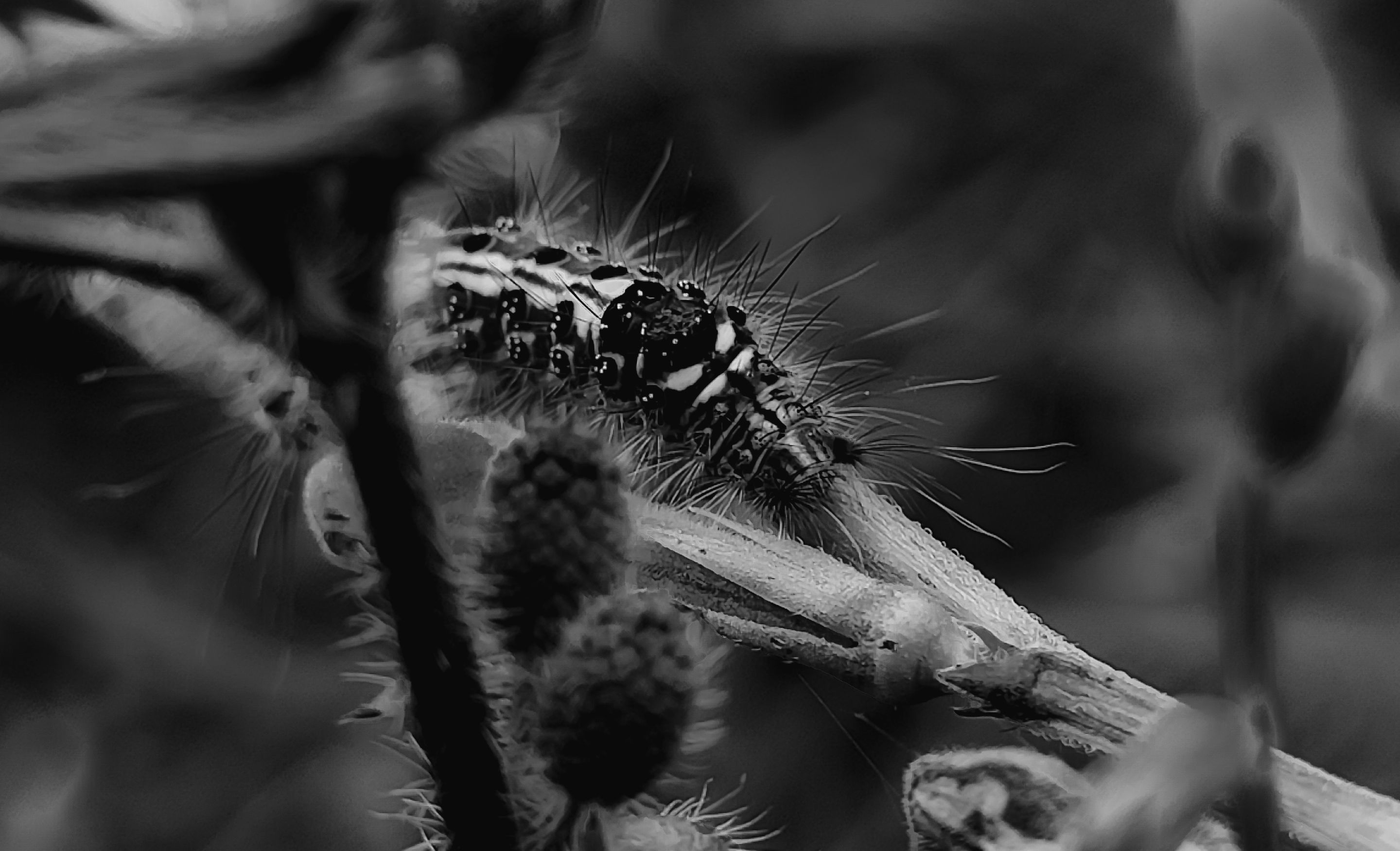 1652184742705 (1).jpg