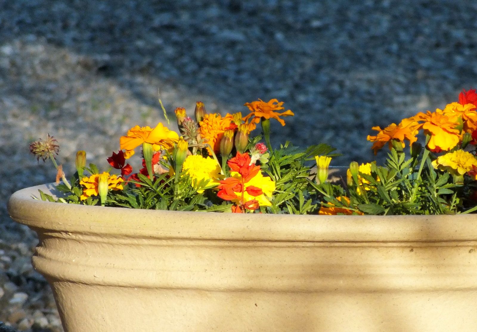 1108-FlowerPot.jpg