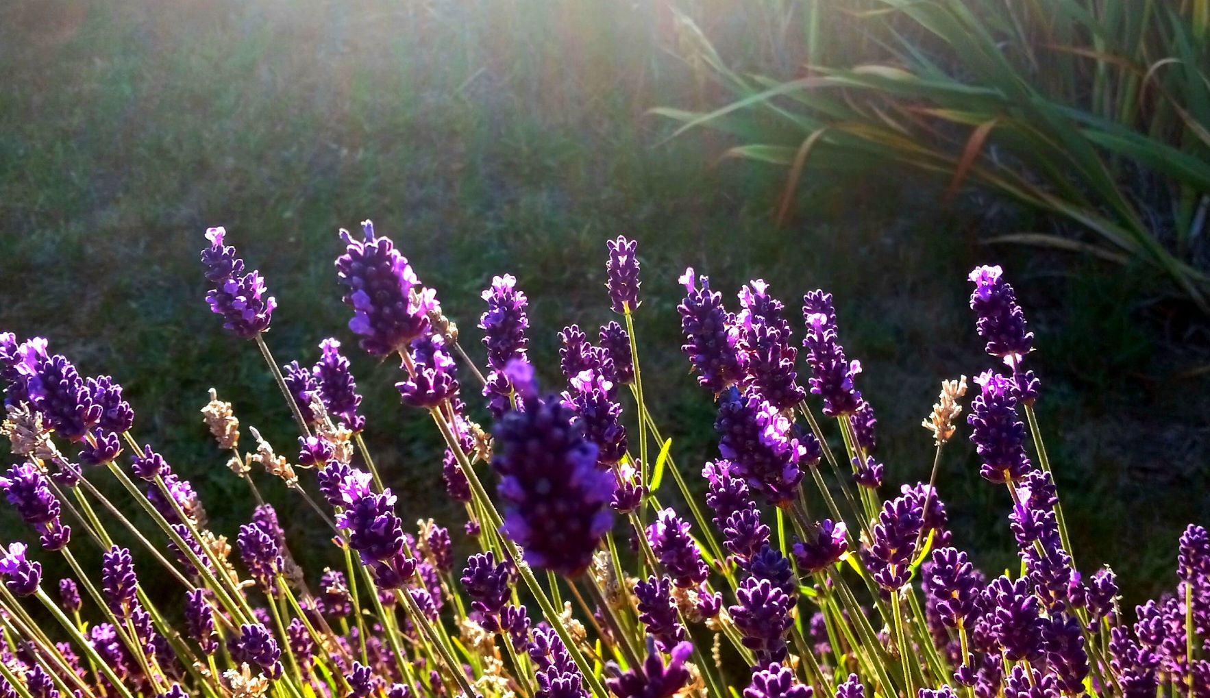 20250901_011121.jpg