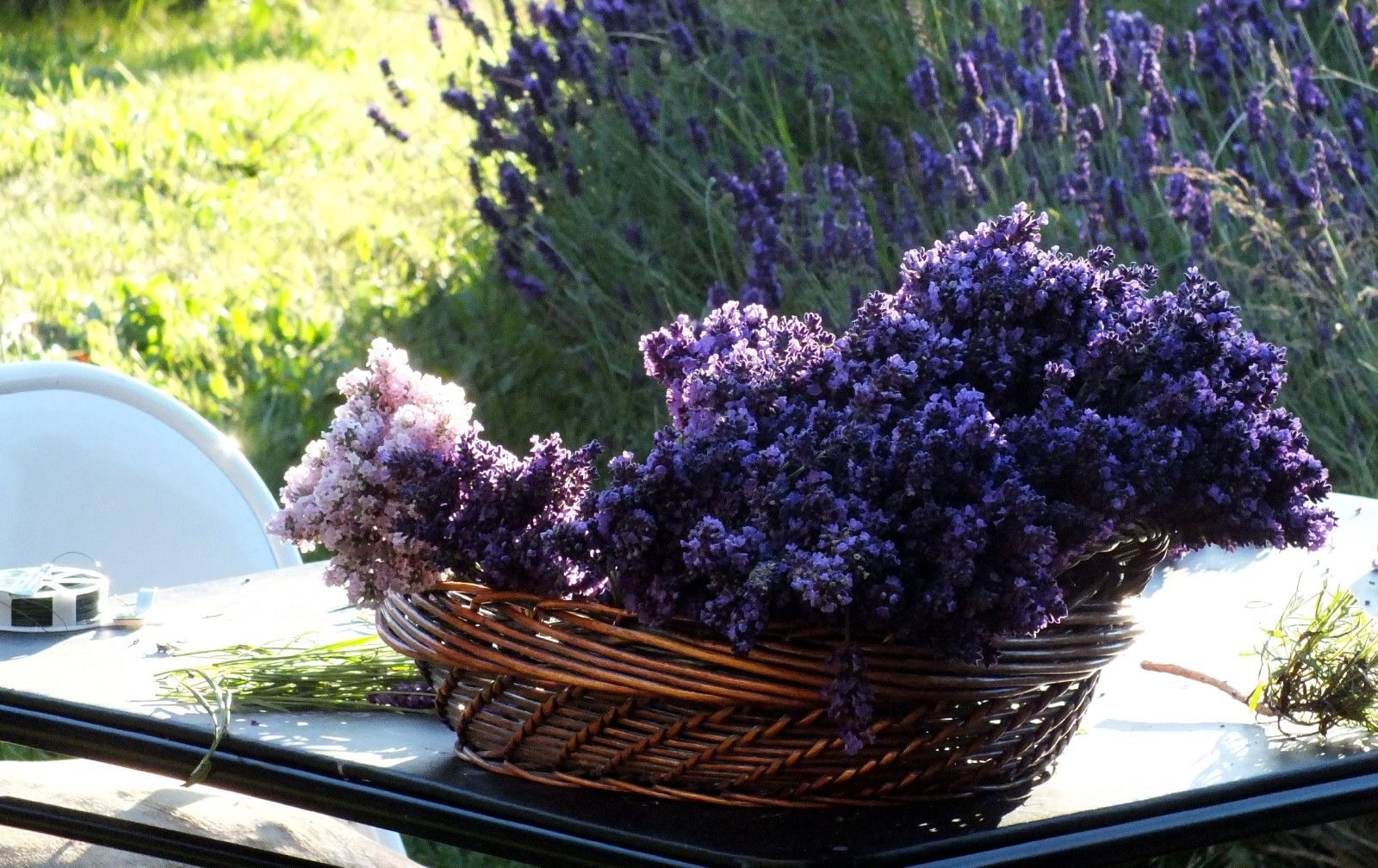 0615-LavenderBasket.JPG