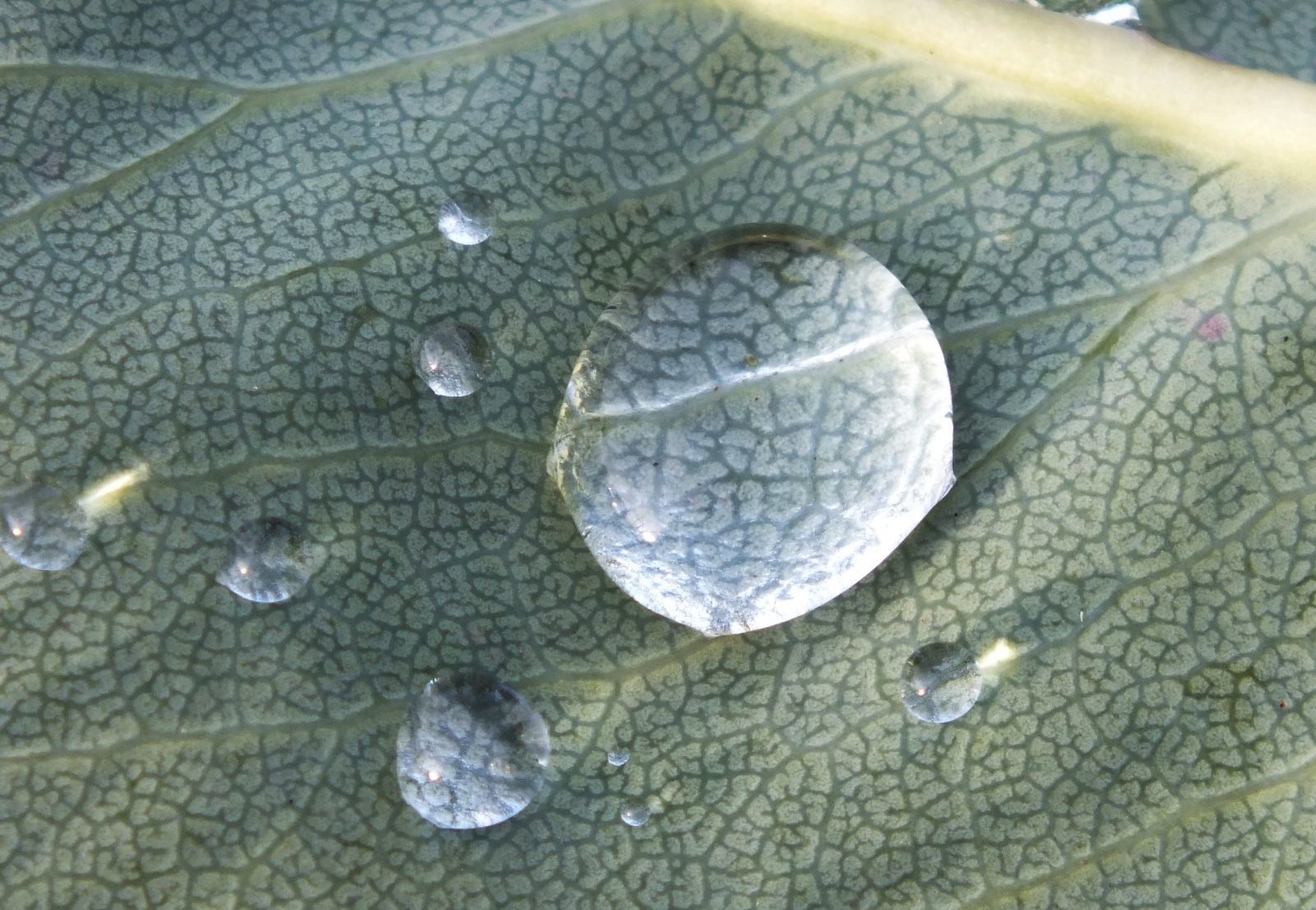 1398Droplets.jpg
