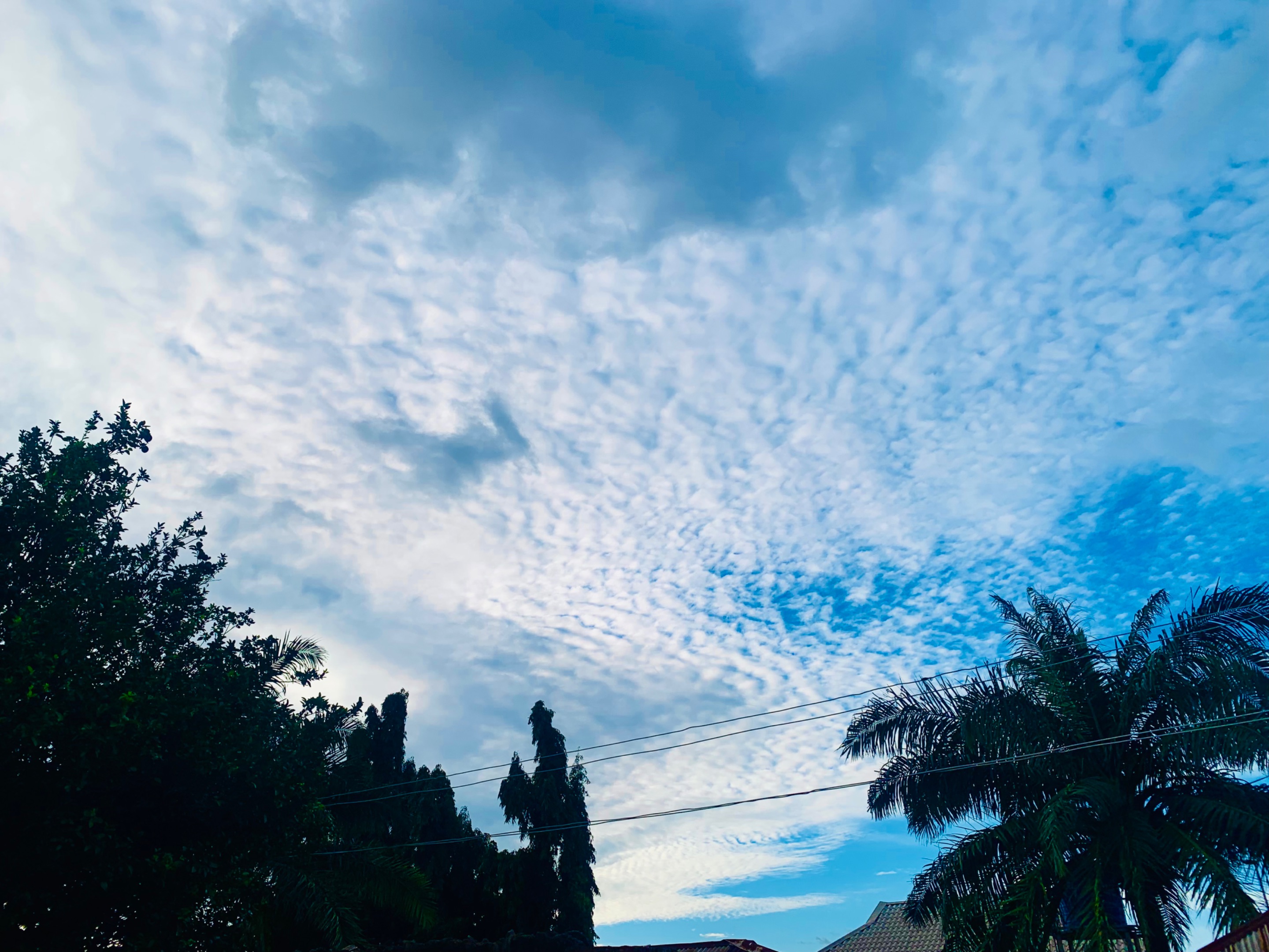 IMG_0517.jpeg