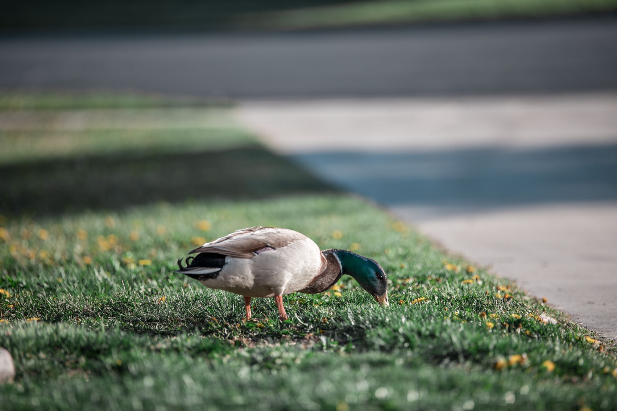 pictures-0419.jpg/