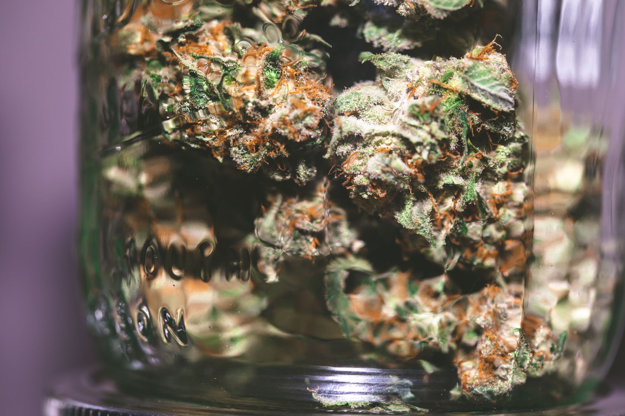 weed-2136.jpg