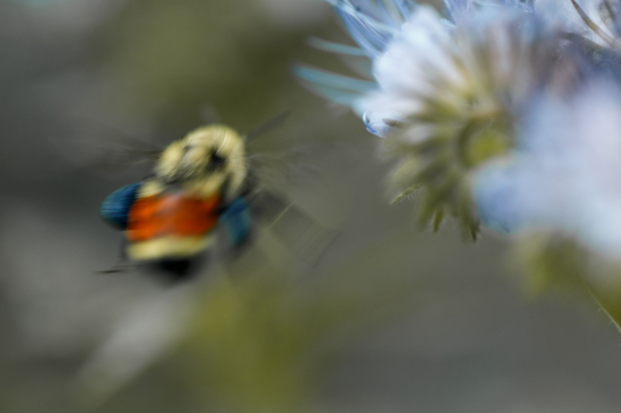 pictures-1344.jpg