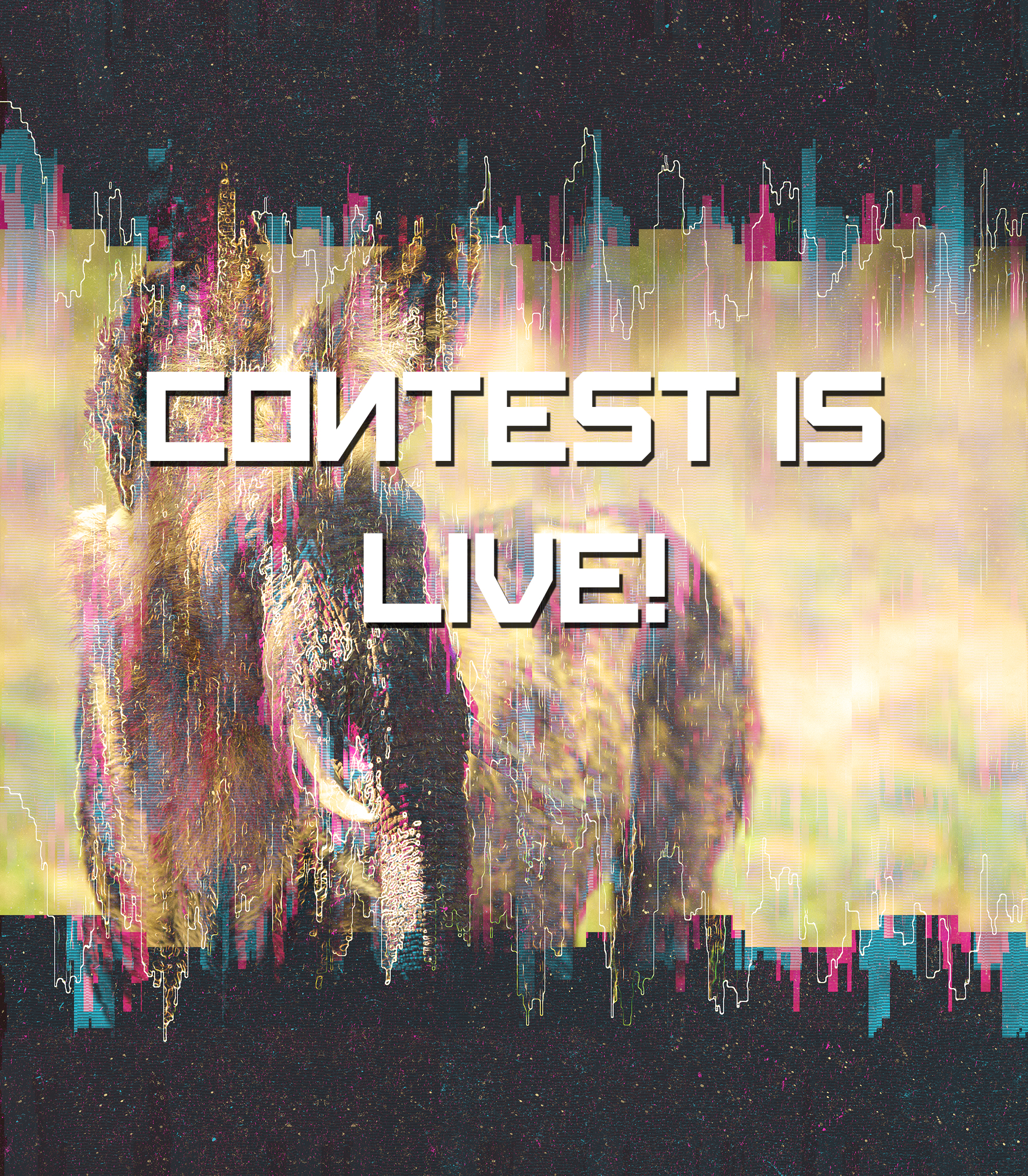 contestlive.jpg