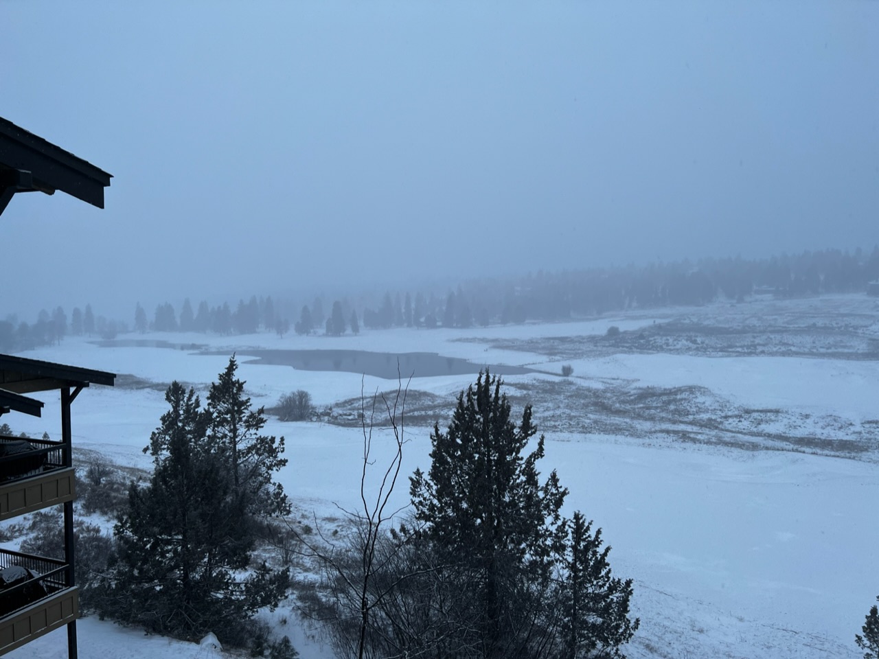 D2ED94DF-F861-4C0F-BB27-FCA1B8E3166C.jpeg