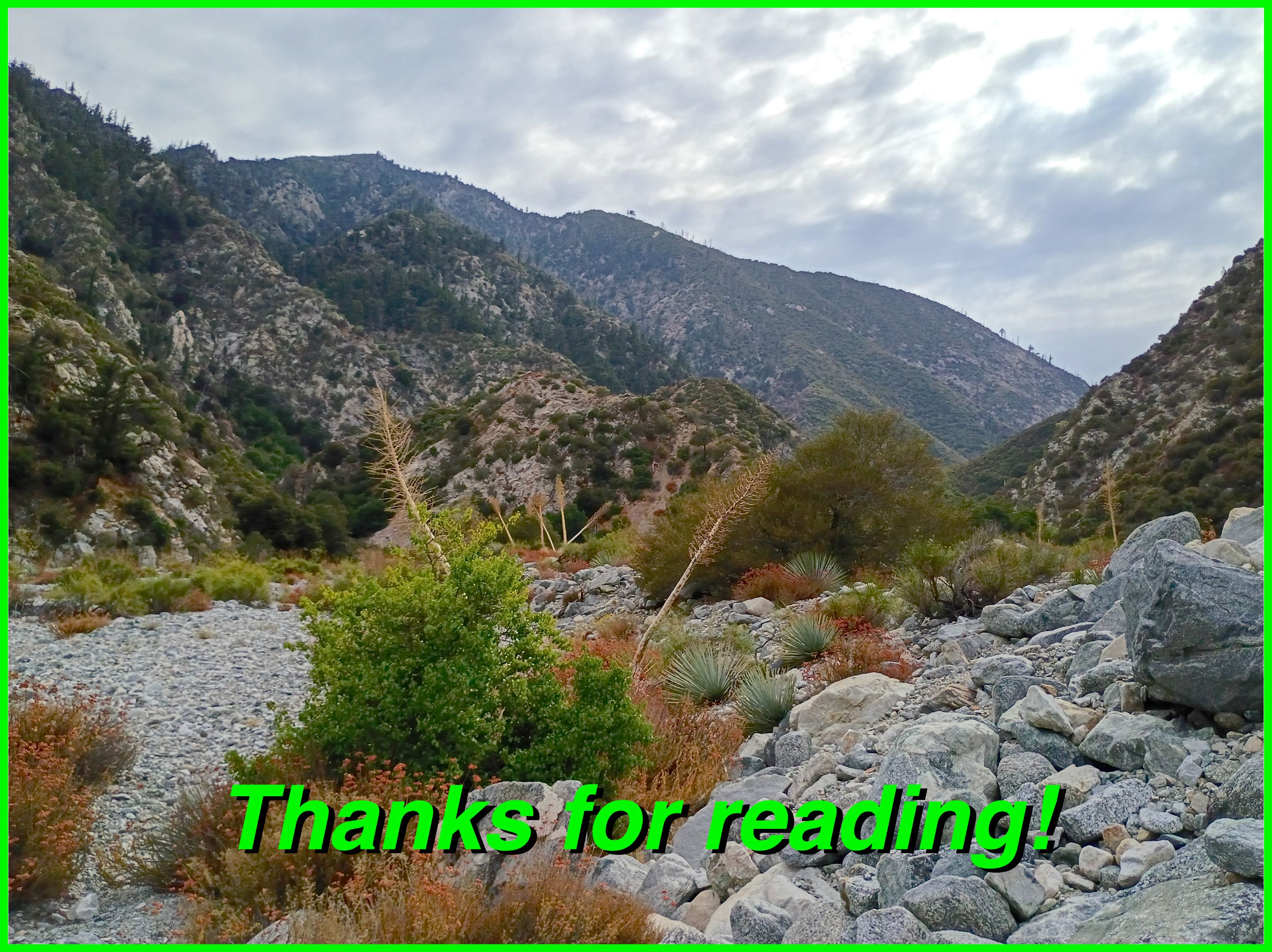 SFfalls thanks.jpg