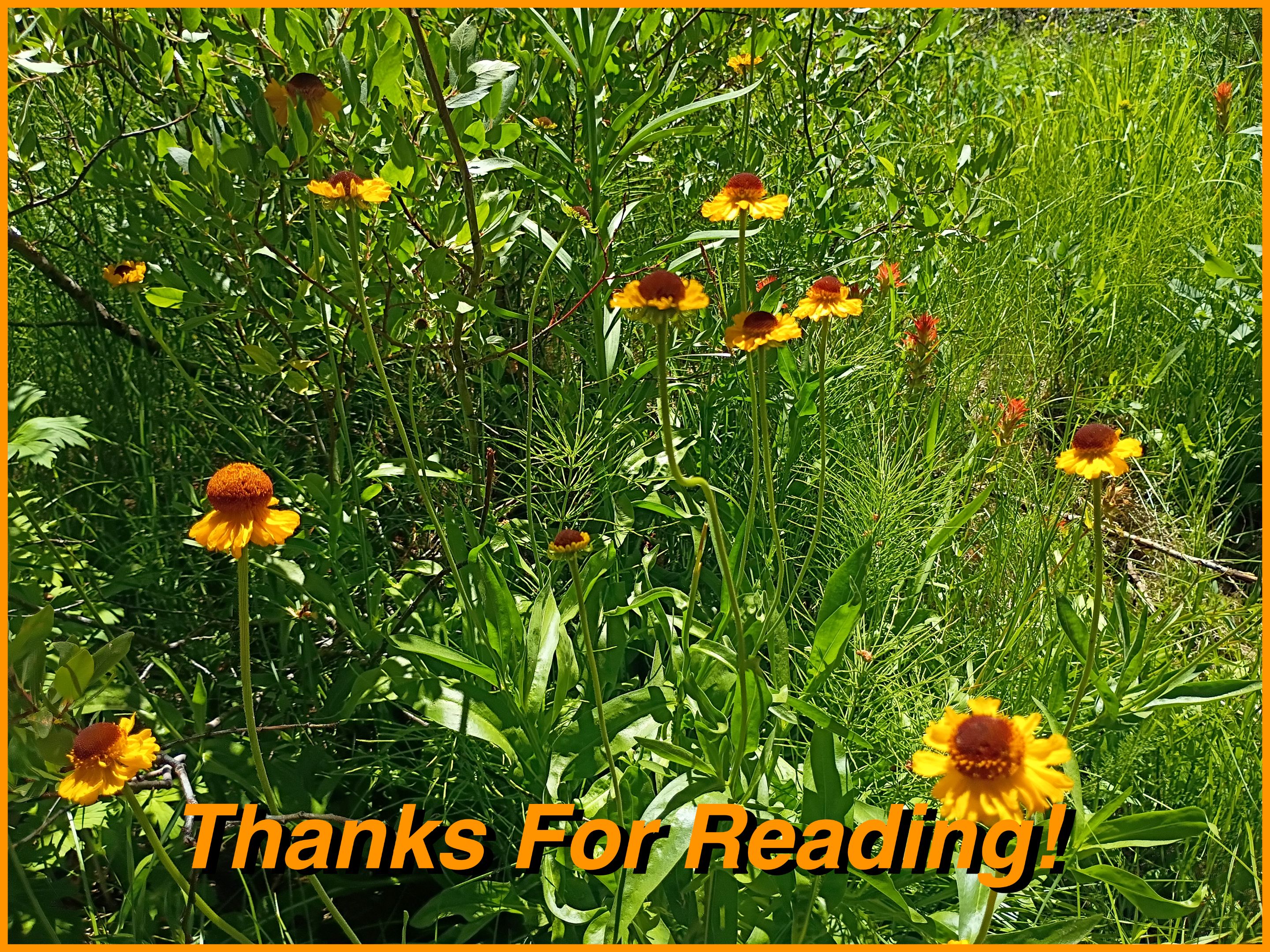 Piute thanks.jpg