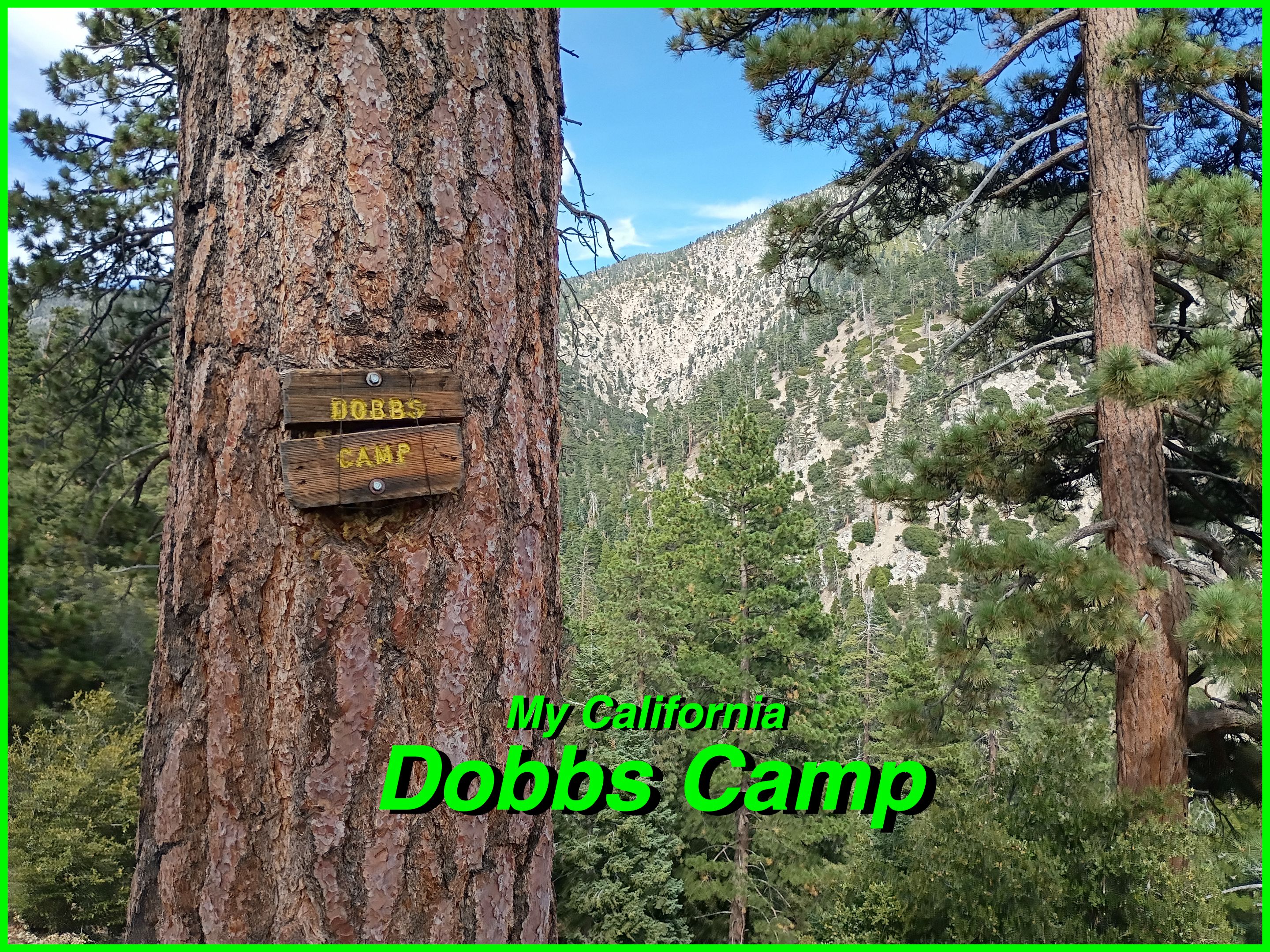 Dobbs cover.jpg