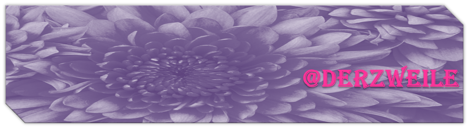 banner nuevo.png
