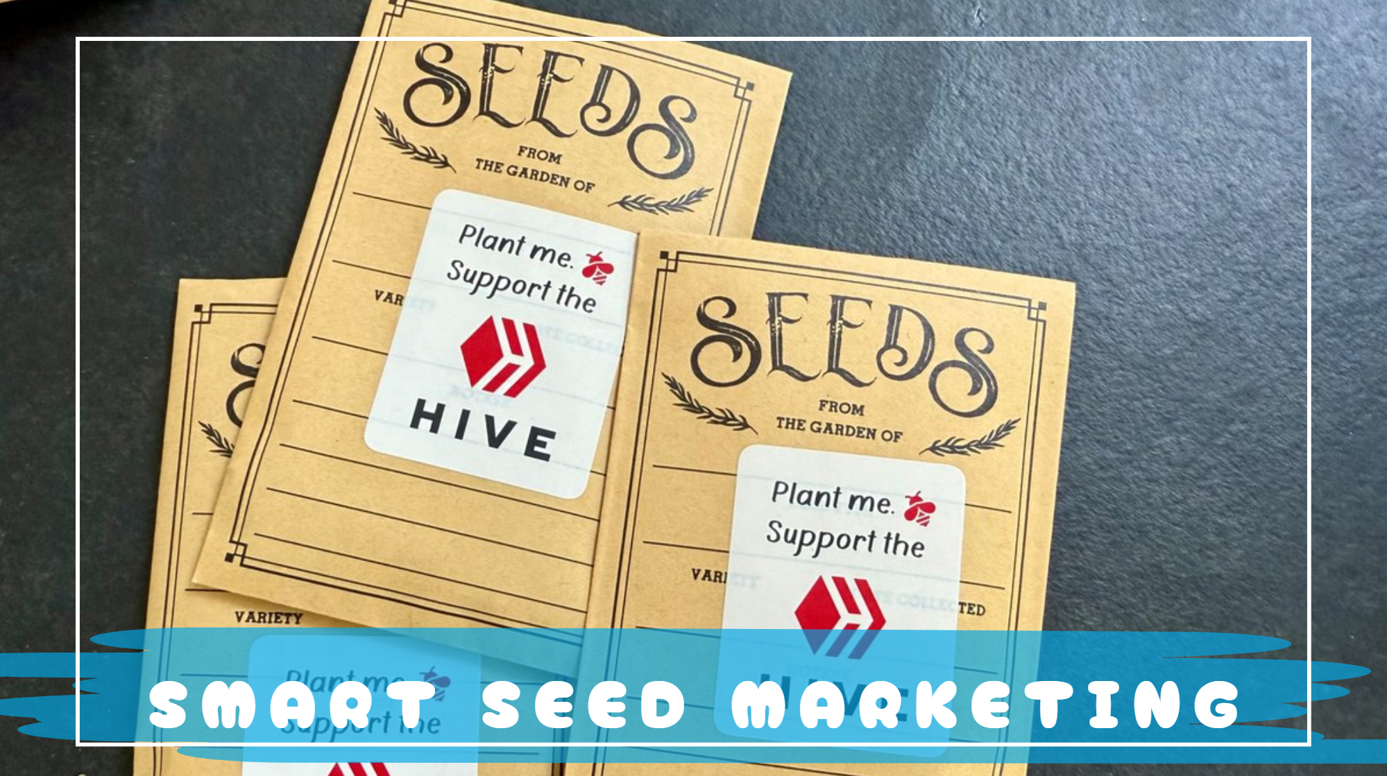 Smart Seed Marketing.png