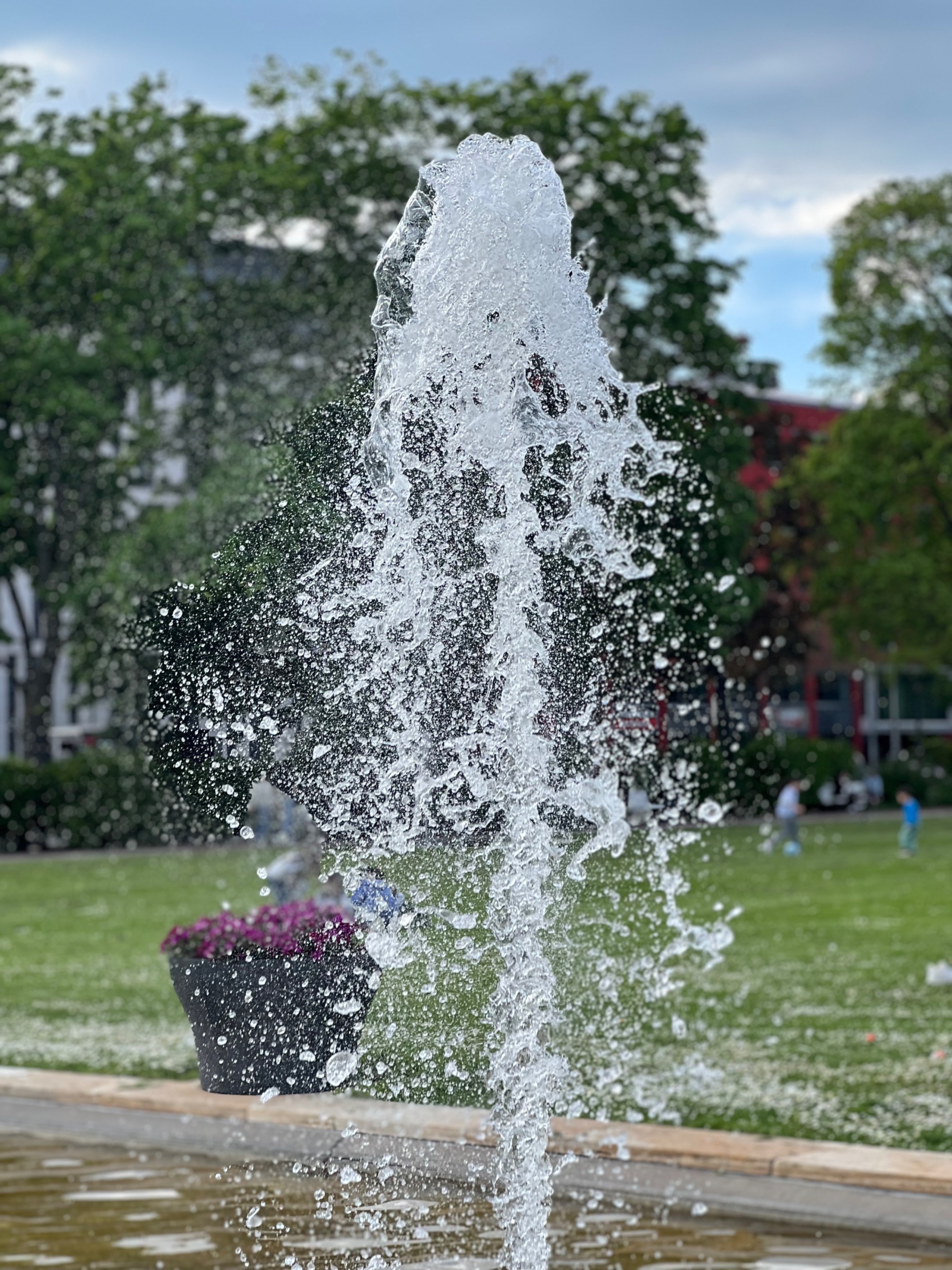 IMG_2572.jpeg