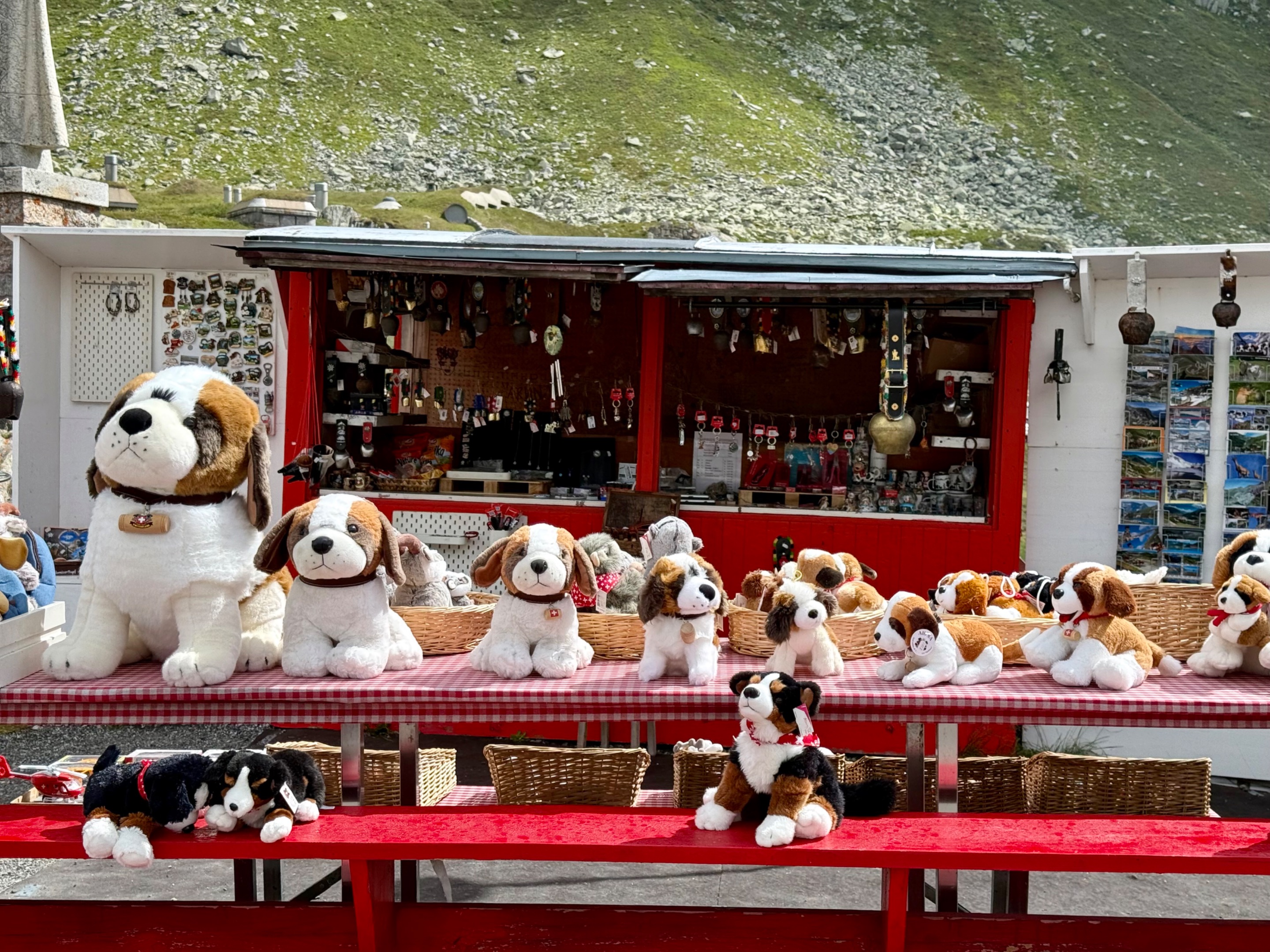 St. Gotthard Pass_4249.jpeg