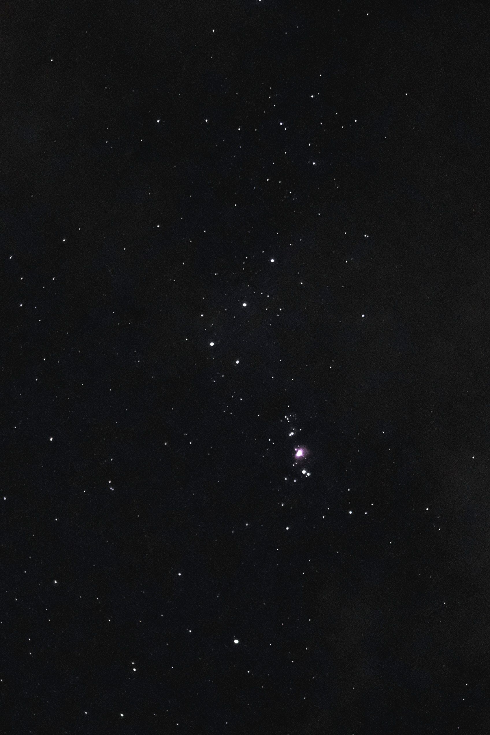 20241231_084811.jpg