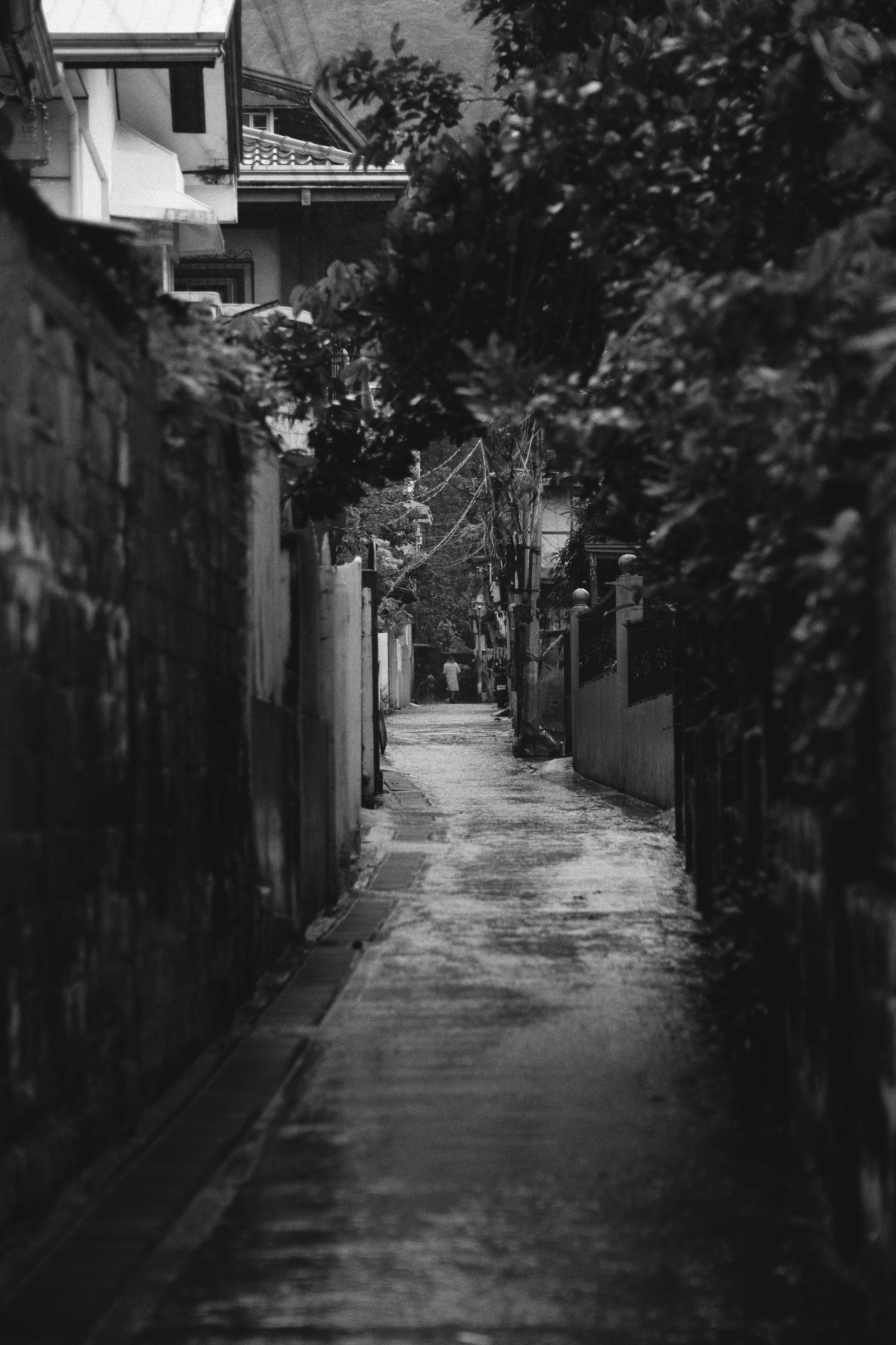 DSCF9009.JPG