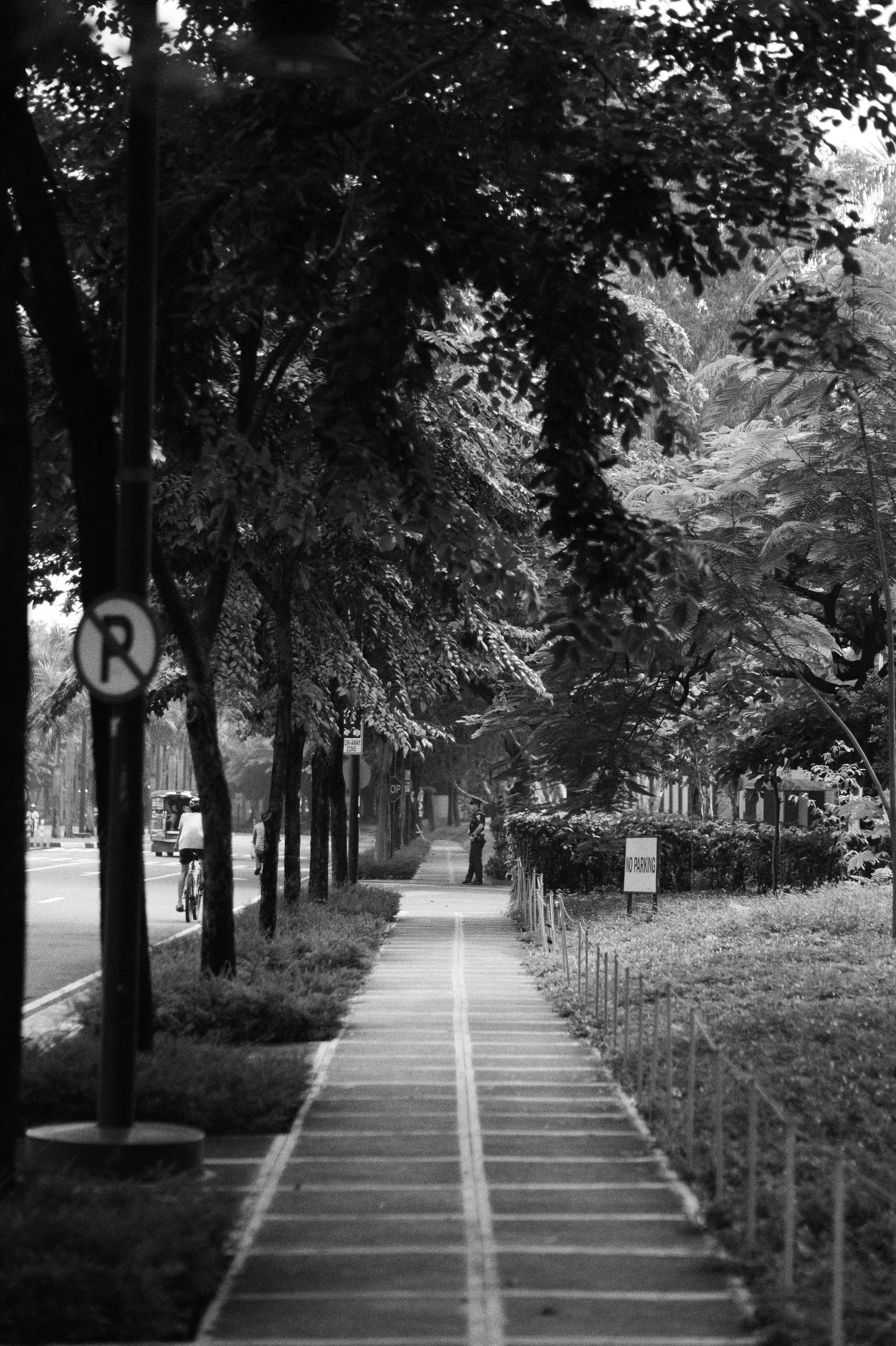 DSCF0819.JPG