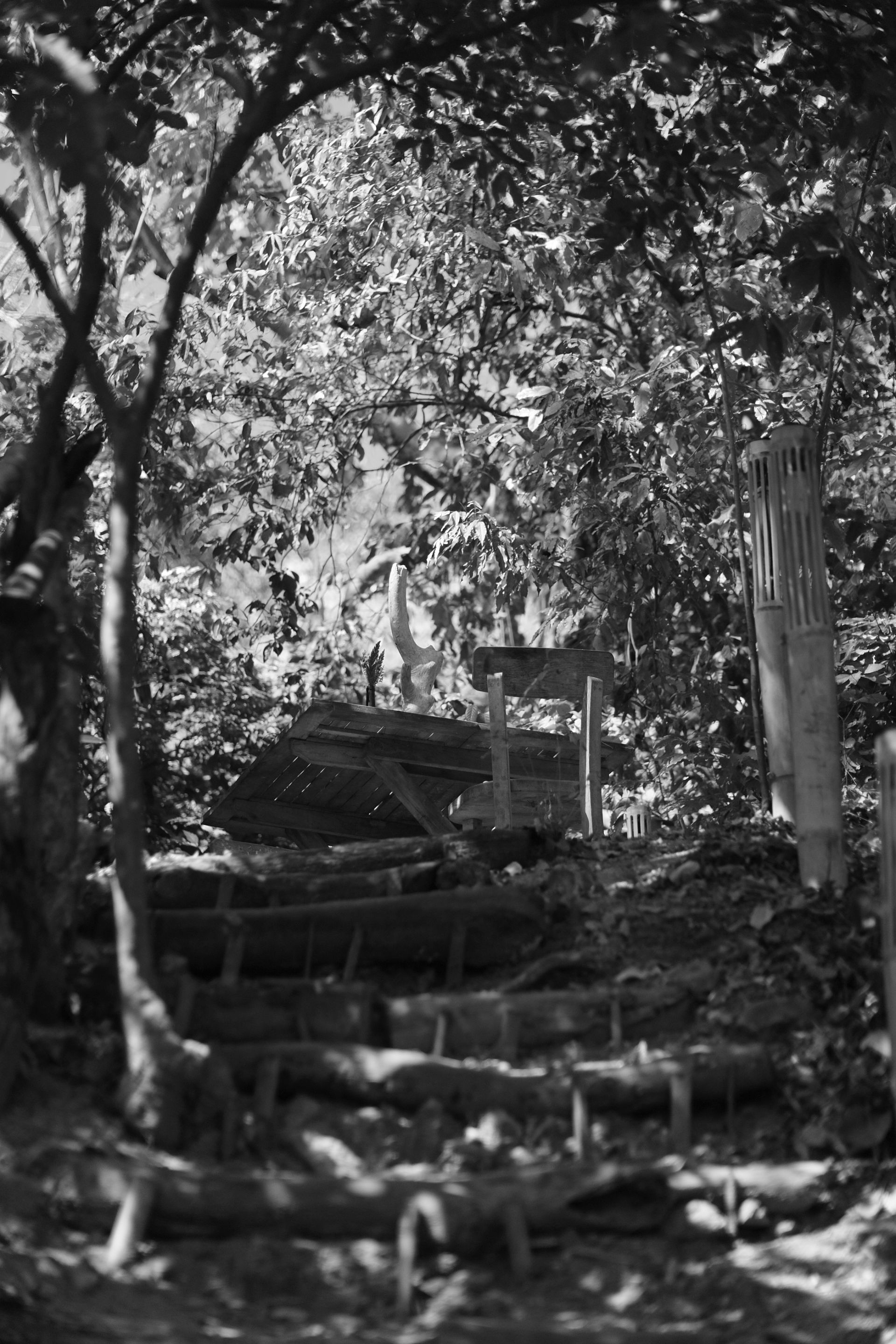 DSCF1578.JPG