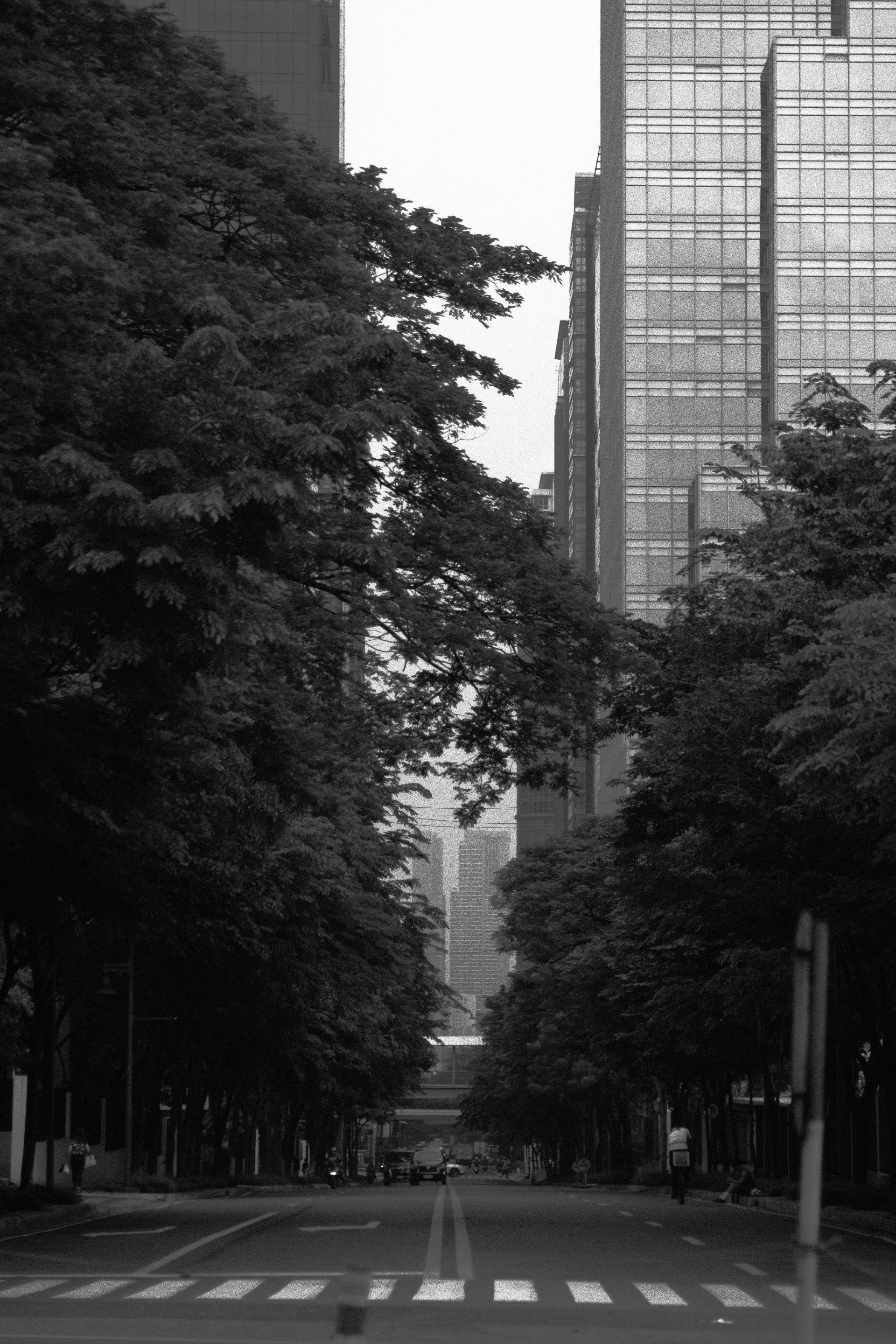 DSCF0840.JPG
