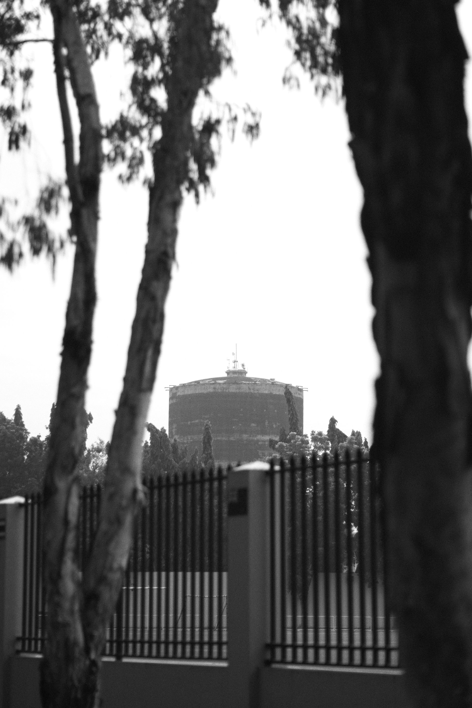 DSCF0834.JPG