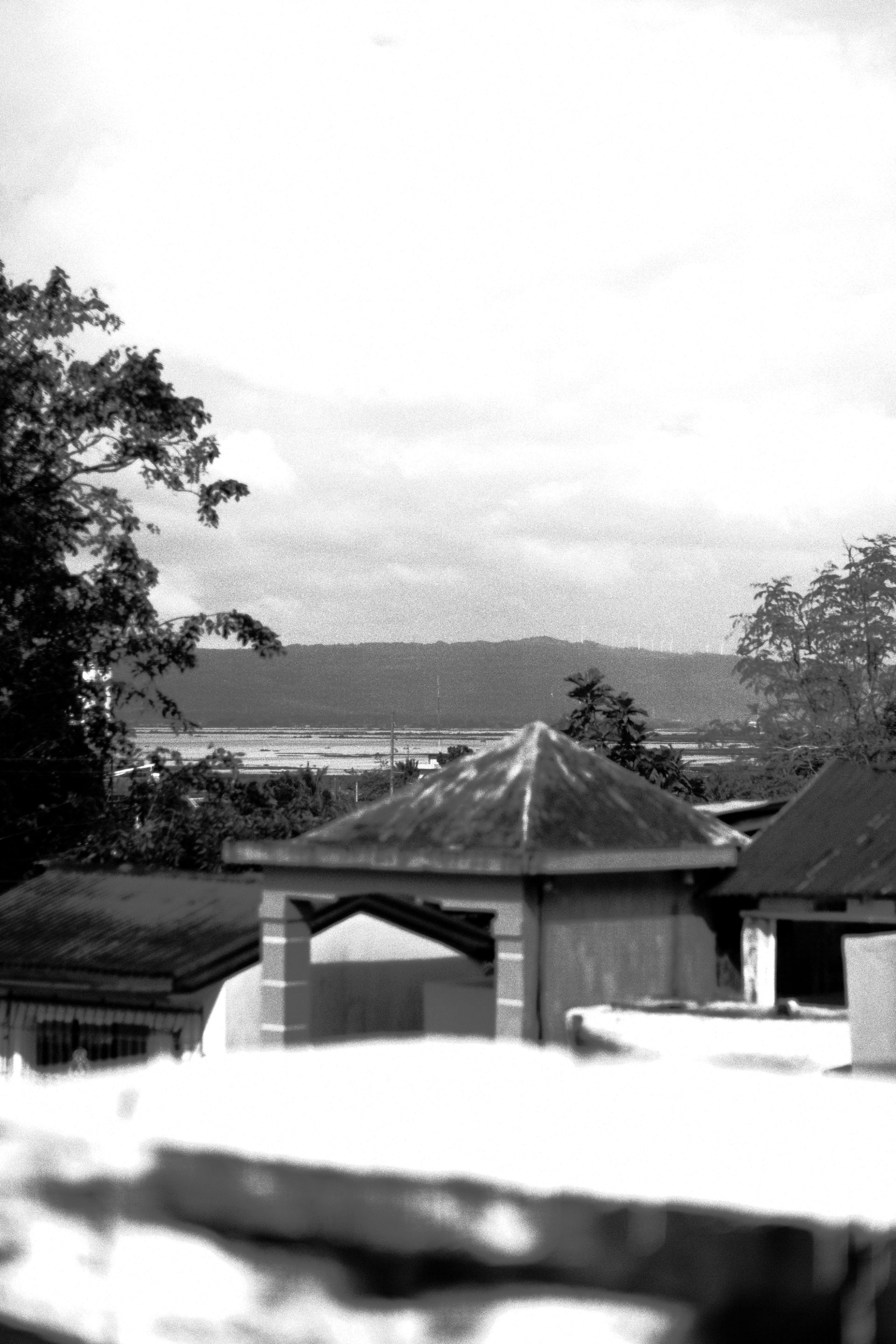 DSCF9384.JPG