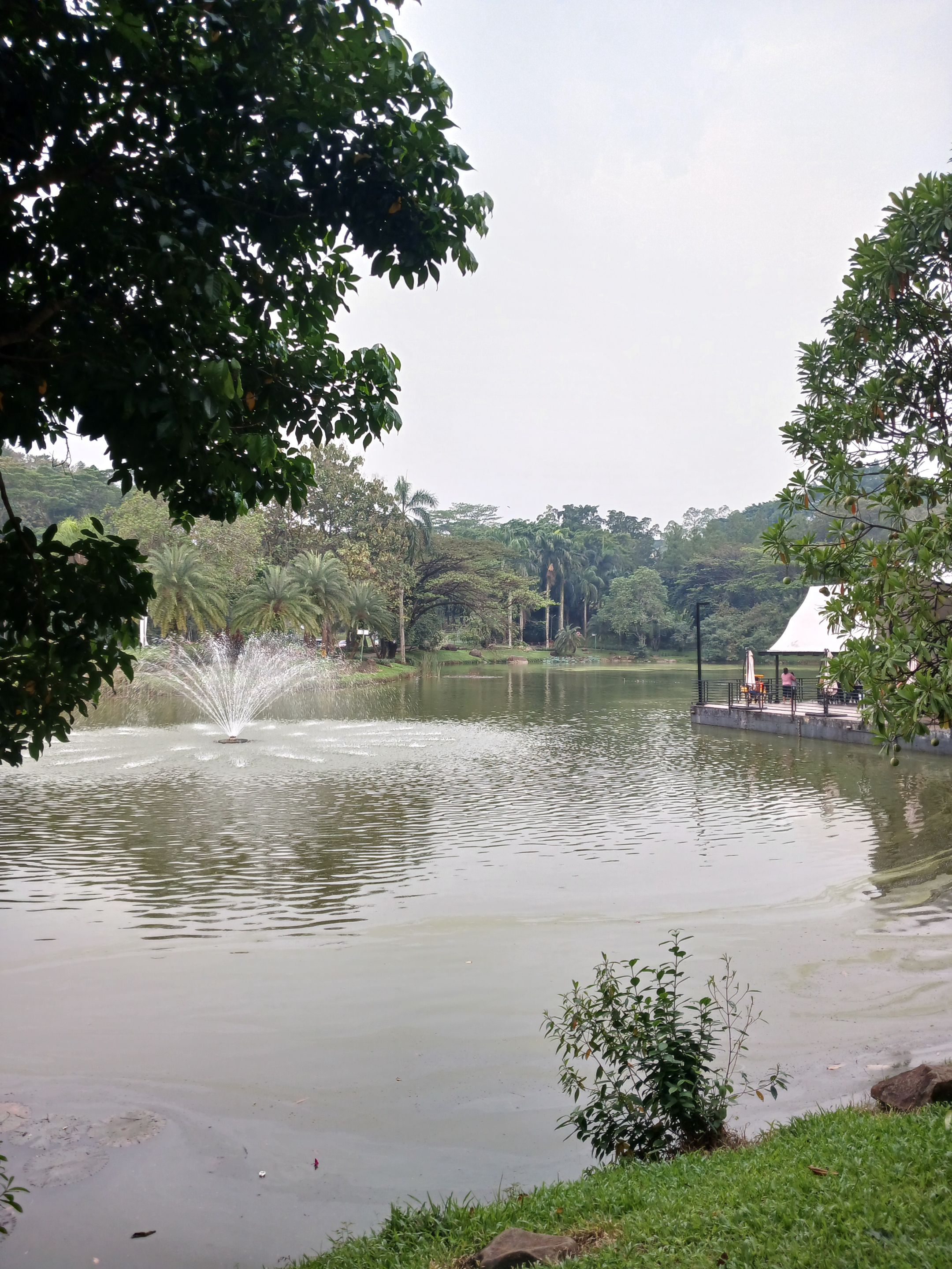 20250627_164300.jpg