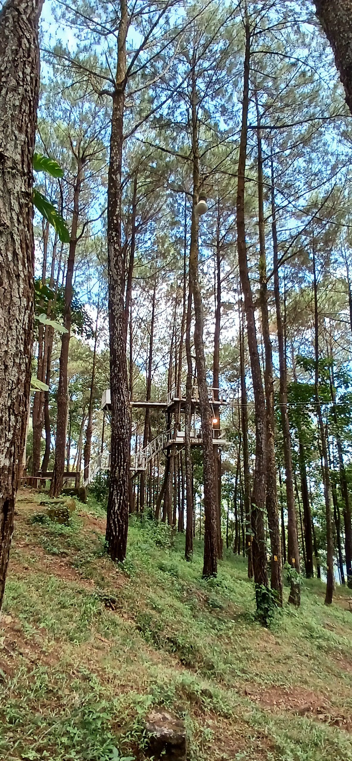 20250530_104408.jpg