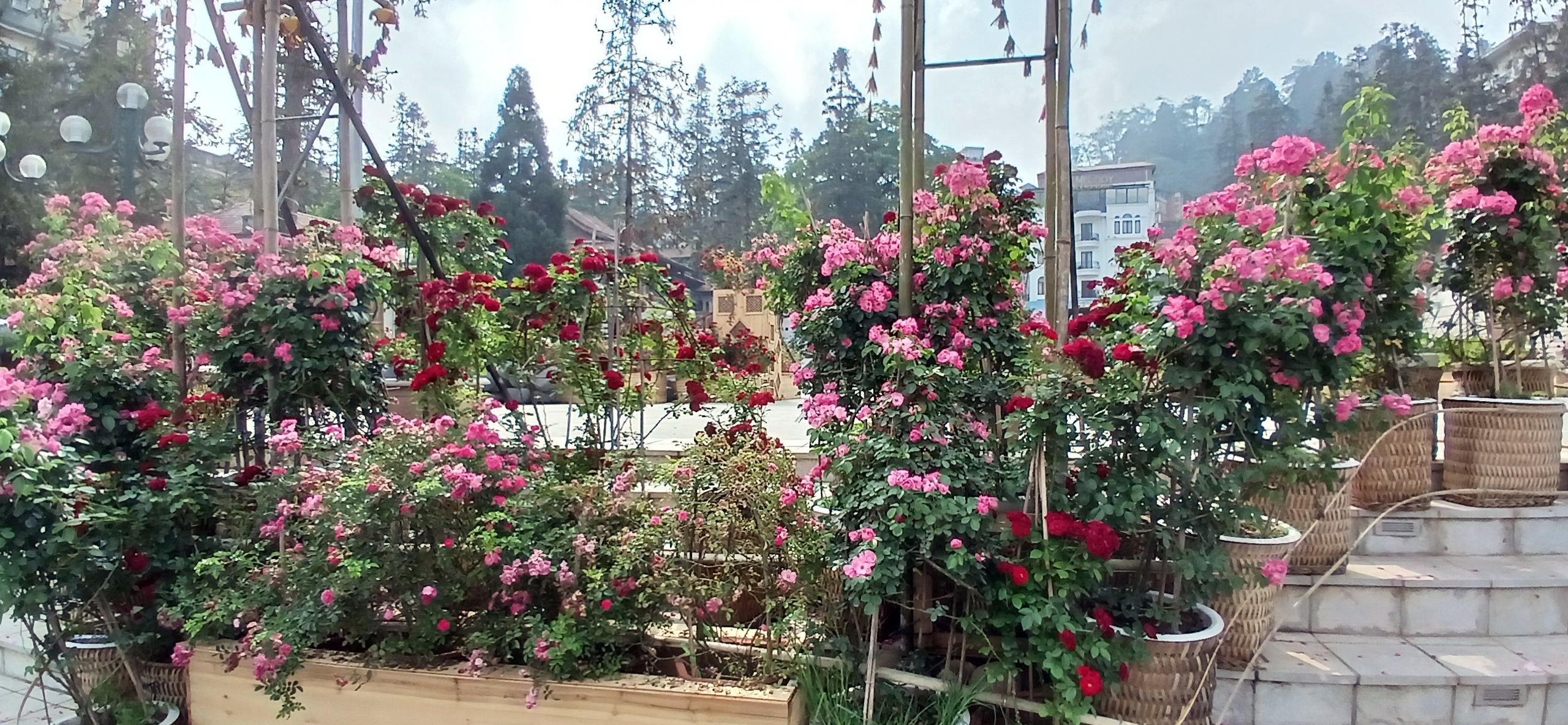 20240503_150232.jpg
